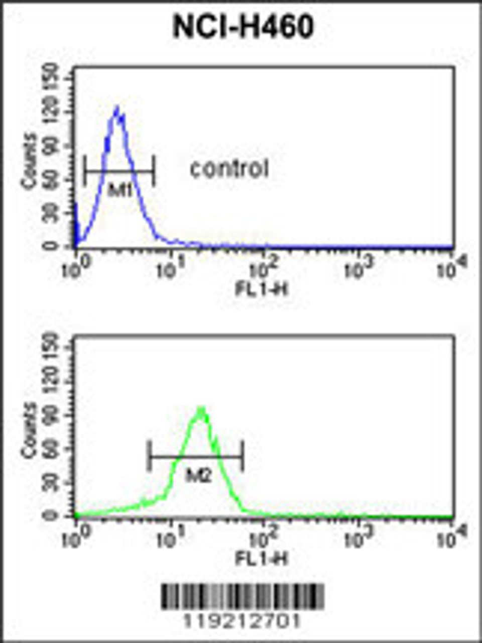 Flow cytometric analysis of NCI-H460 cells (bottom histogram) compared to a negative control cell (top histogram) .FITC-conjugated goat-anti-rabbit secondary antibodies were used for the analysis.