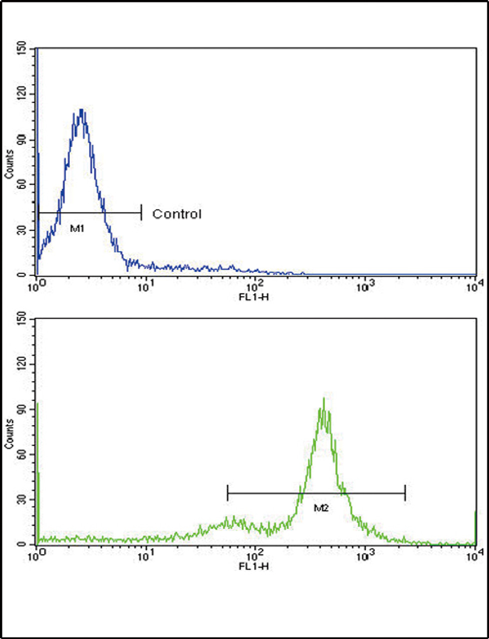 Flow cytometric analysis of K562 cells using TDG Antibody (bottom histogram) compared to a negative control cell (top histogram) FITC-conjugated goat-anti-rabbit secondary antibodies were used for the analysis.