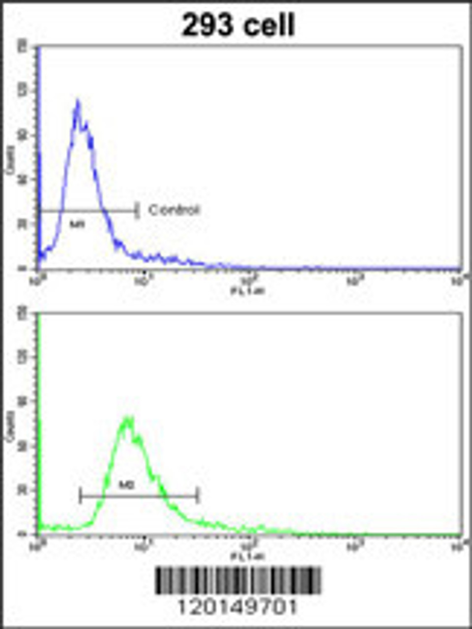 Flow cytometric analysis of 293 cells using (bottom histogram) compared to a negative control cell (top histogram) . FITC-conjugated goat-anti-rabbit secondary antibodies were used for the analysis.