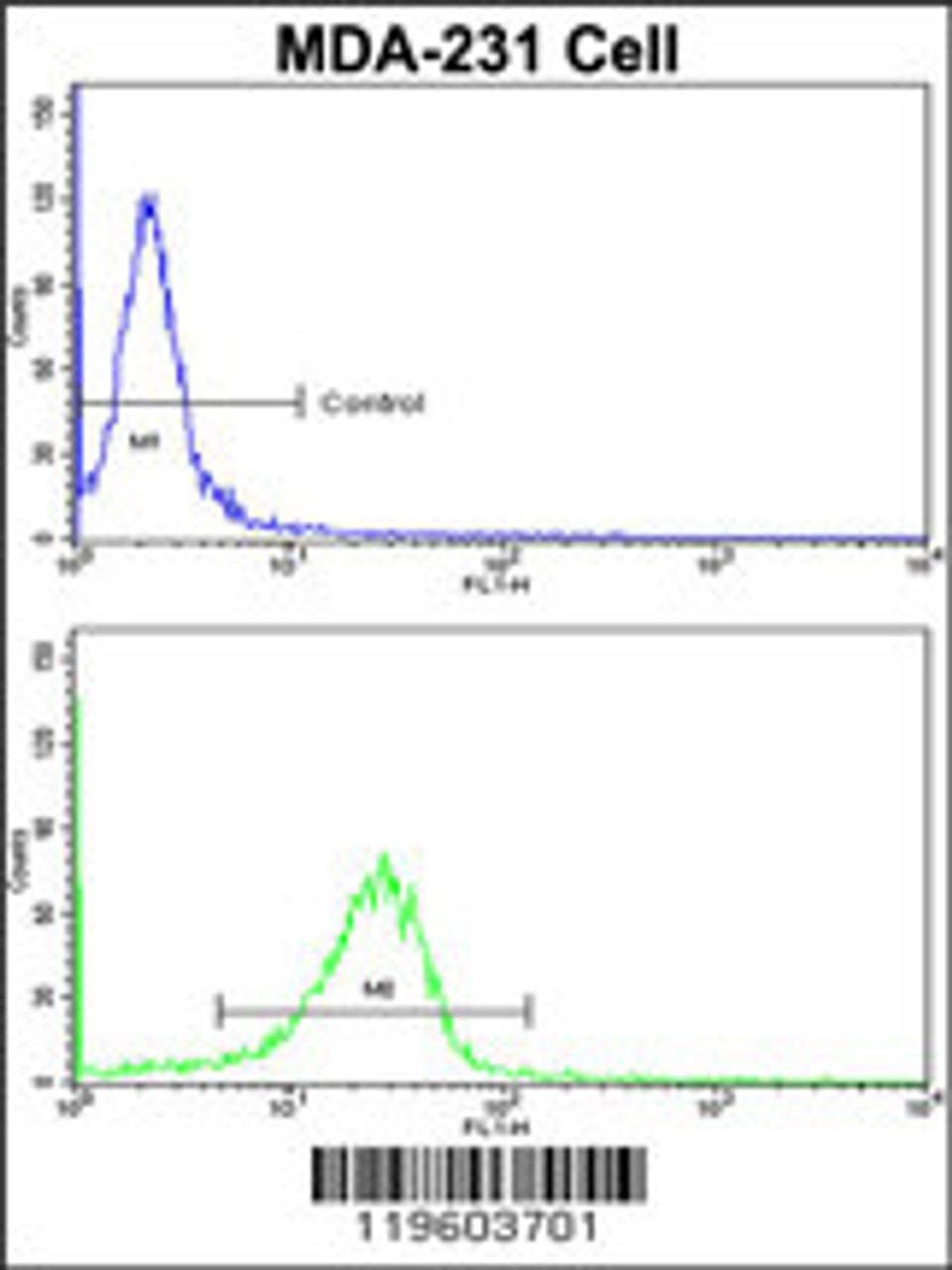 Flow cytometric analysis of MDA-231 cells using DLGAP1 Antibody (N-term) (bottom histogram) compared to a negative control cell (top histogram) . FITC-conjugated goat-anti-rabbit secondary antibodies were used for the analysis.