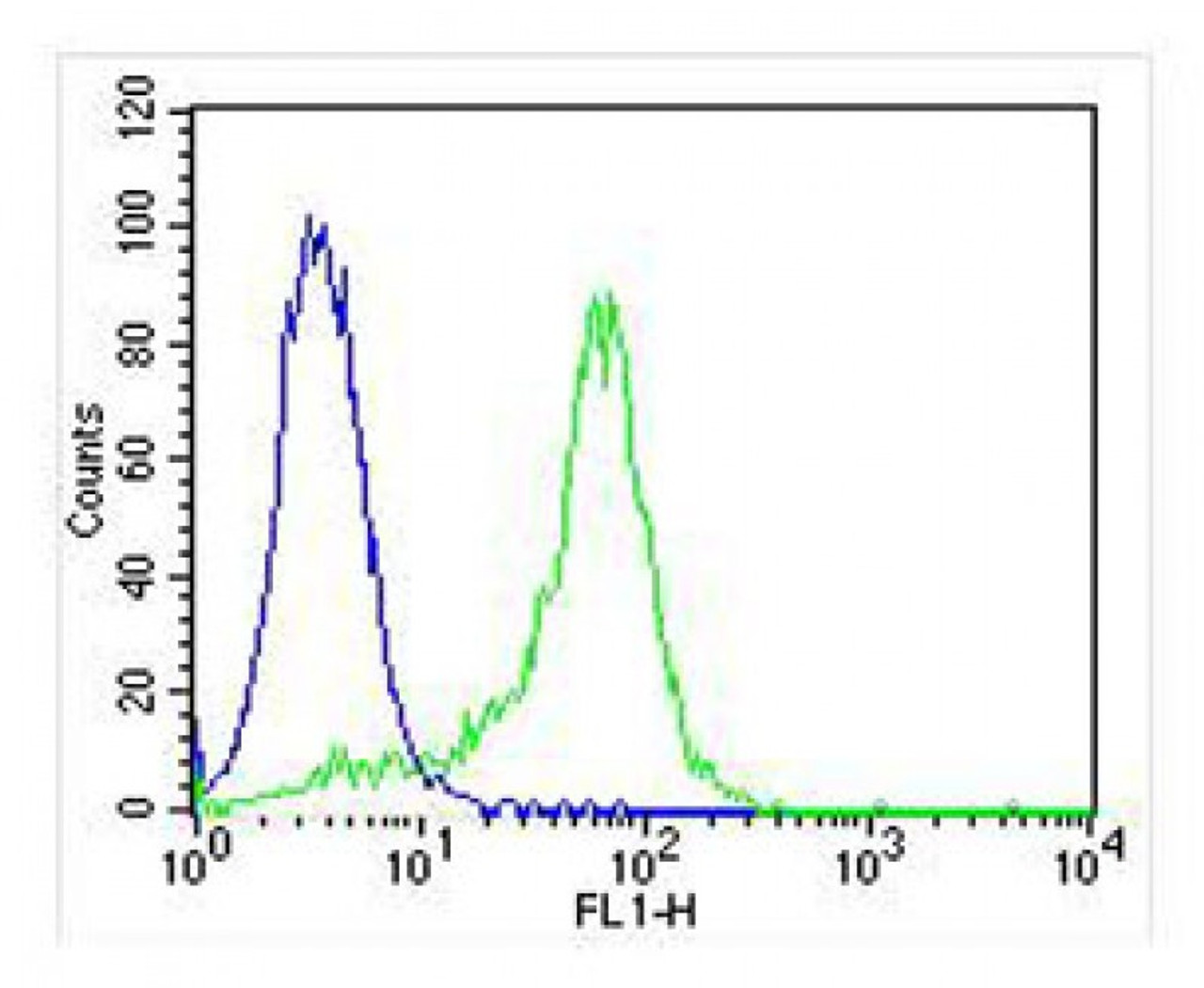 Overlay histogram showing Hela cells stained with Antibody (green line) . The cells were fixed with 2% paraformaldehyde (10 min) and then permeabilized with 90% methanol for 10 min. The cells were then icubated in 2% bovine serum albumin to block non-specific protein-protein interactions followed by the antibody (1:25 dilution) for 60 min at 37ºC. The secondary antibody used was Goat-Anti-Rabbit IgG, DyLight 488 Conjugated Highly Cross-Adsorbed (OH191631) at 1/400 dilution for 40 min at 37ºC. Isotype control antibody (blue line) was rabbit IgG (1ug/1x10^6 cells) used under the same conditions. Acquisition of >10, 000 events was performed.