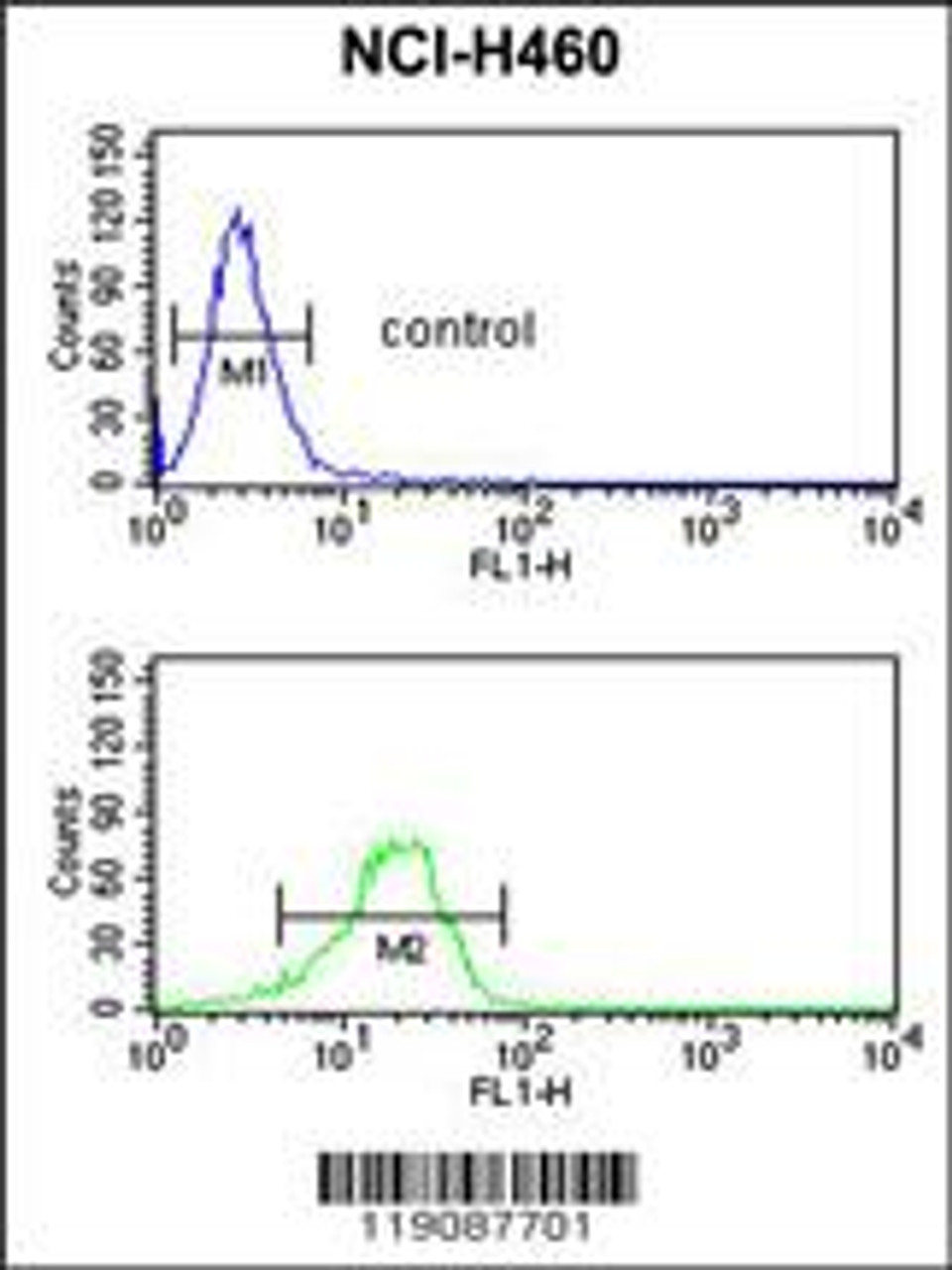 Flow cytometric analysis of NCI-H460 cells (bottom histogram) compared to a negative control cell (top histogram) .FITC-conjugated goat-anti-rabbit secondary antibodies were used for the analysis.