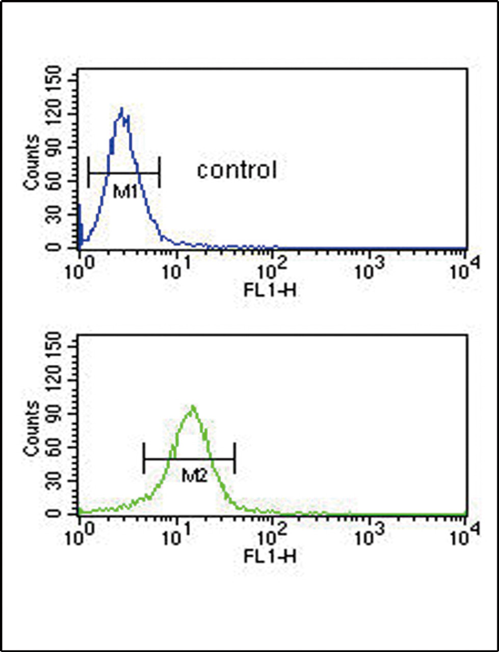 Flow cytometric analysis of NCI-H460 cells (bottom histogram) compared to a negative control cell (top histogram) .FITC-conjugated goat-anti-rabbit secondary antibodies were used for the analysis.