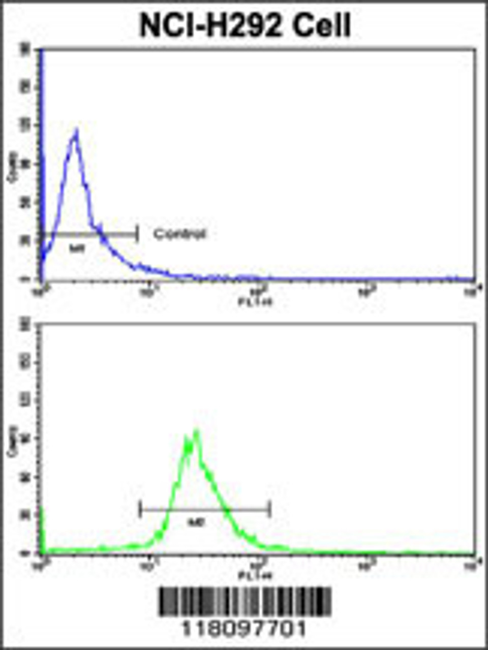 Flow cytometric analysis of NCI-H292 cells using KIF3C Antibody (bottom histogram) compared to a negative control cell (top histogram) . FITC-conjugated goat-anti-rabbit secondary antibodies were used for the analysis.