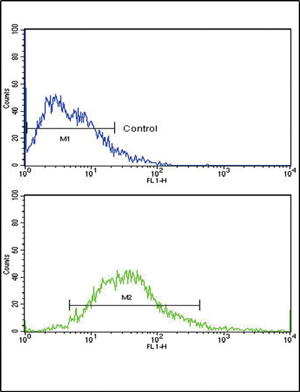 Flow cytometric analysis of MCF-7 cells using FGFR1 Antibody (bottom histogram) compared to a negative control cell (top histogram) . FITC-conjugated goat-anti-rabbit secondary antibodies were used for the analysis.