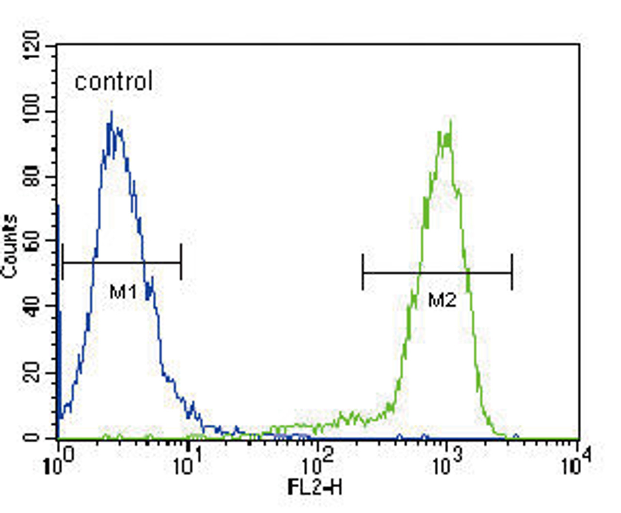 Flow cytometric analysis of Hela cells (right histogram) compared to a negative control cell (left histogram) .FITC-conjugated goat-anti-rabbit secondary antibodies were used for the analysis.