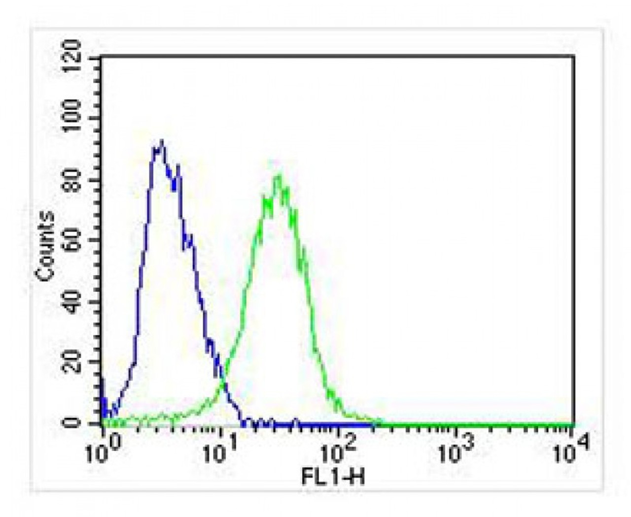 Overlay histogram showing SH-SY5Y cells stained with Antibody (green line) . The cells were fixed with 2% paraformaldehyde (10 min) . The cells were then icubated in 2% bovine serum albumin to block non-specific protein-protein interactions followed by the antibody (1:25 dilution) for 60 min at 37ºC. The secondary antibody used was Goat-Anti-Rabbit IgG, DyLight 488 Conjugated Highly Cross-Adsorbed (OH191631) at 1/400 dilution for 40 min at 37ºC. Isotype control antibody (blue line) was rabbit IgG (1ug/1x10^6 cells) used under the same conditions. Acquisition of >10, 000 events was performed.