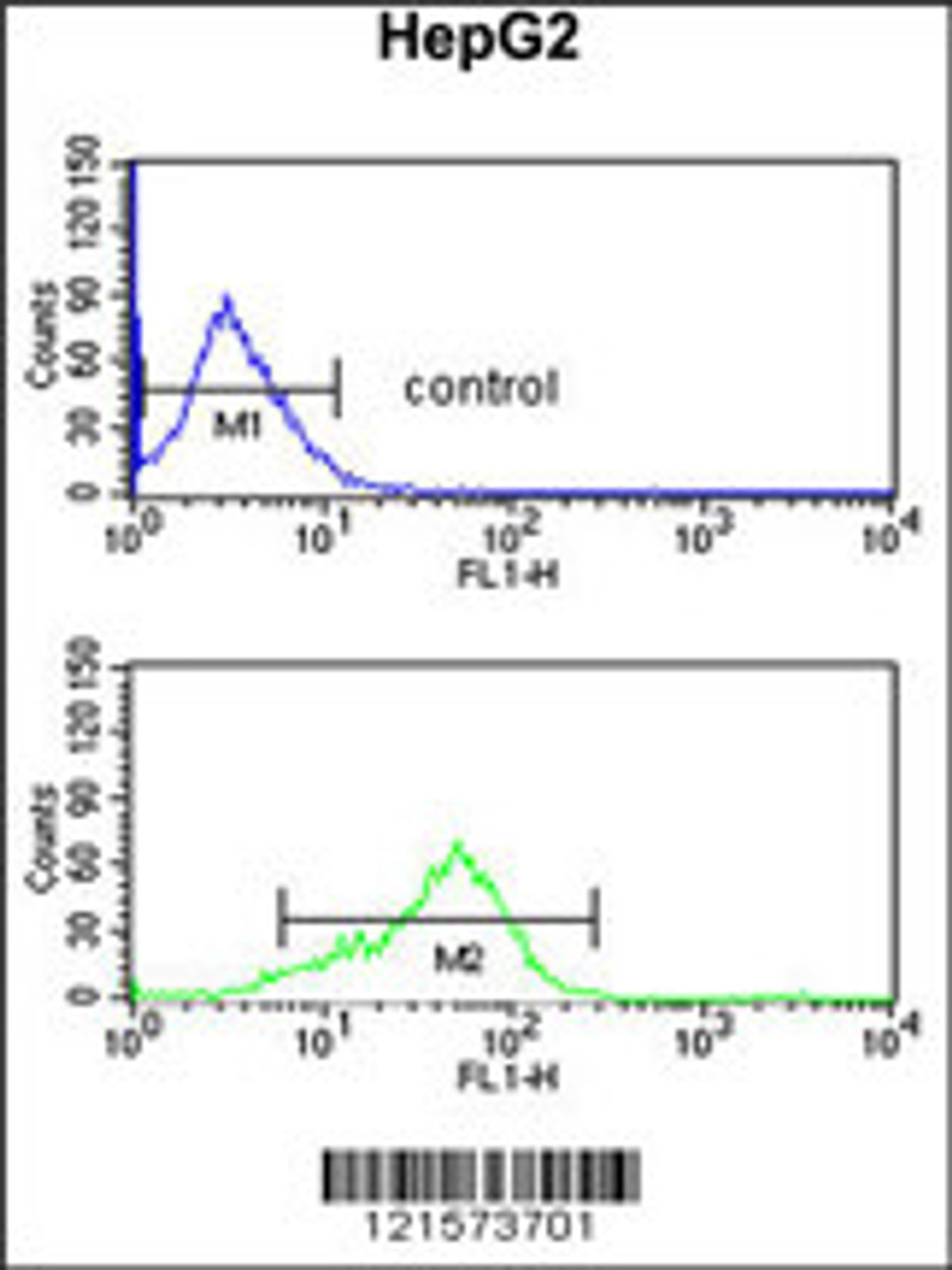 Flow cytometric analysis of HepG2 cells (bottom histogram) compared to a negative control cell (top histogram) .FITC-conjugated goat-anti-rabbit secondary antibodies were used for the analysis.