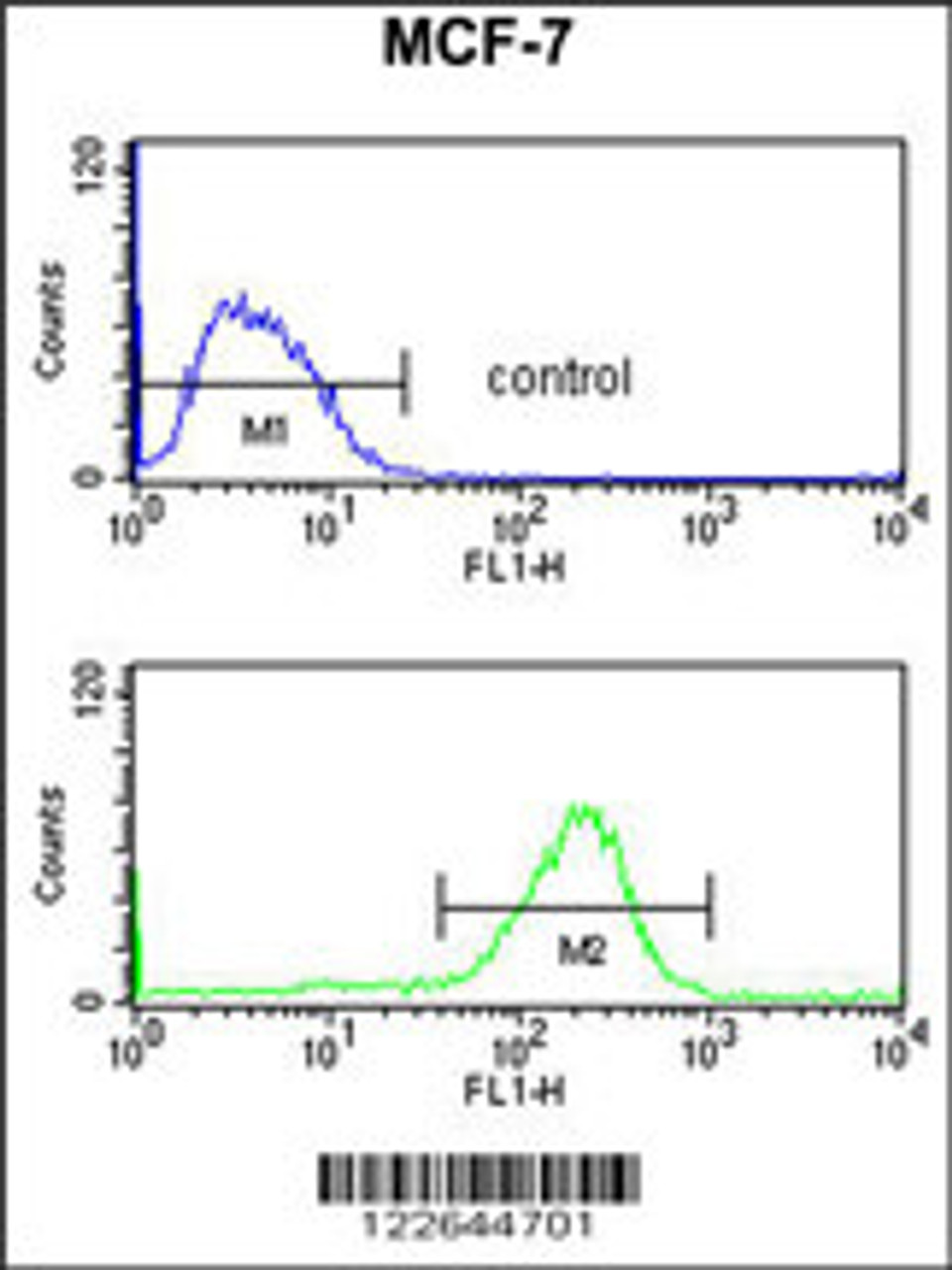 Flow cytometry analysis of MCF-7 cells (bottom histogram) compared to a negative control cell (top histogram) .FITC-conjugated goat-anti-rabbit secondary antibodies were used for the analysis.