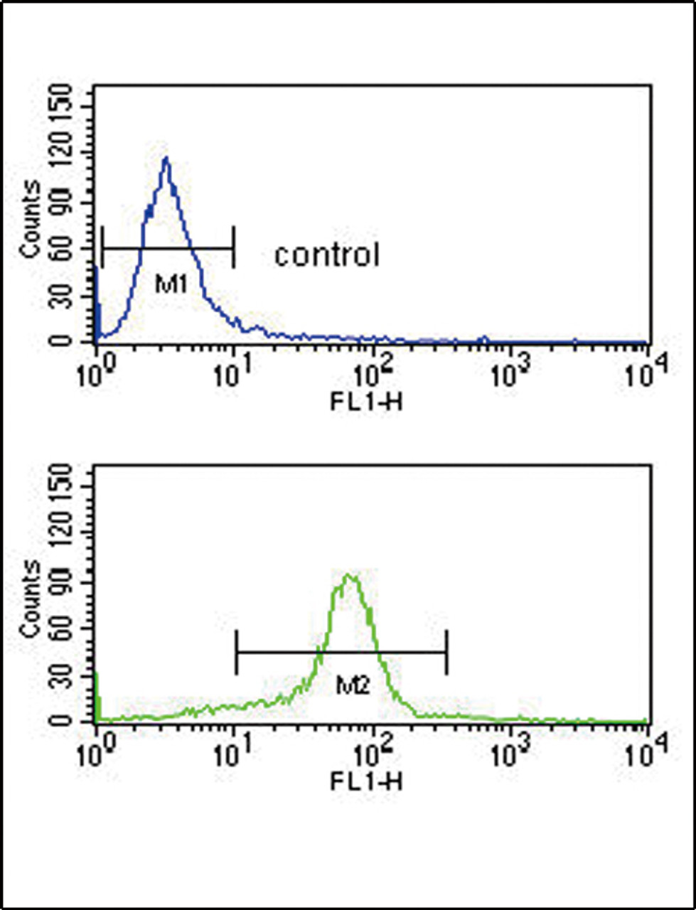Flow cytometry analysis of K562 cells (bottom histogram) compared to a negative control cell (top histogram) .FITC-conjugated goat-anti-rabbit secondary antibodies were used for the analysis.