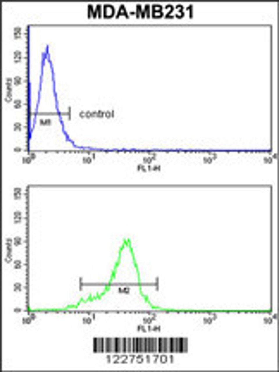 Flow cytometry analysis of MDA-MB231 cells (bottom histogram) compared to a negative control cell (top histogram) . FITC-conjugated goat-anti-rabbit secondary antibodies were used for the analysis.
