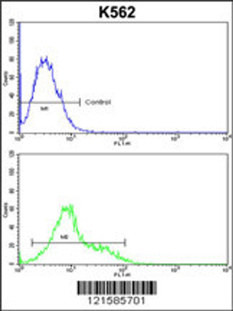 Flow cytometric analysis of k562 cells (bottom histogram) compared to a negative control cell (top histogram) .FITC-conjugated goat-anti-rabbit secondary antibodies were used for the analysis.