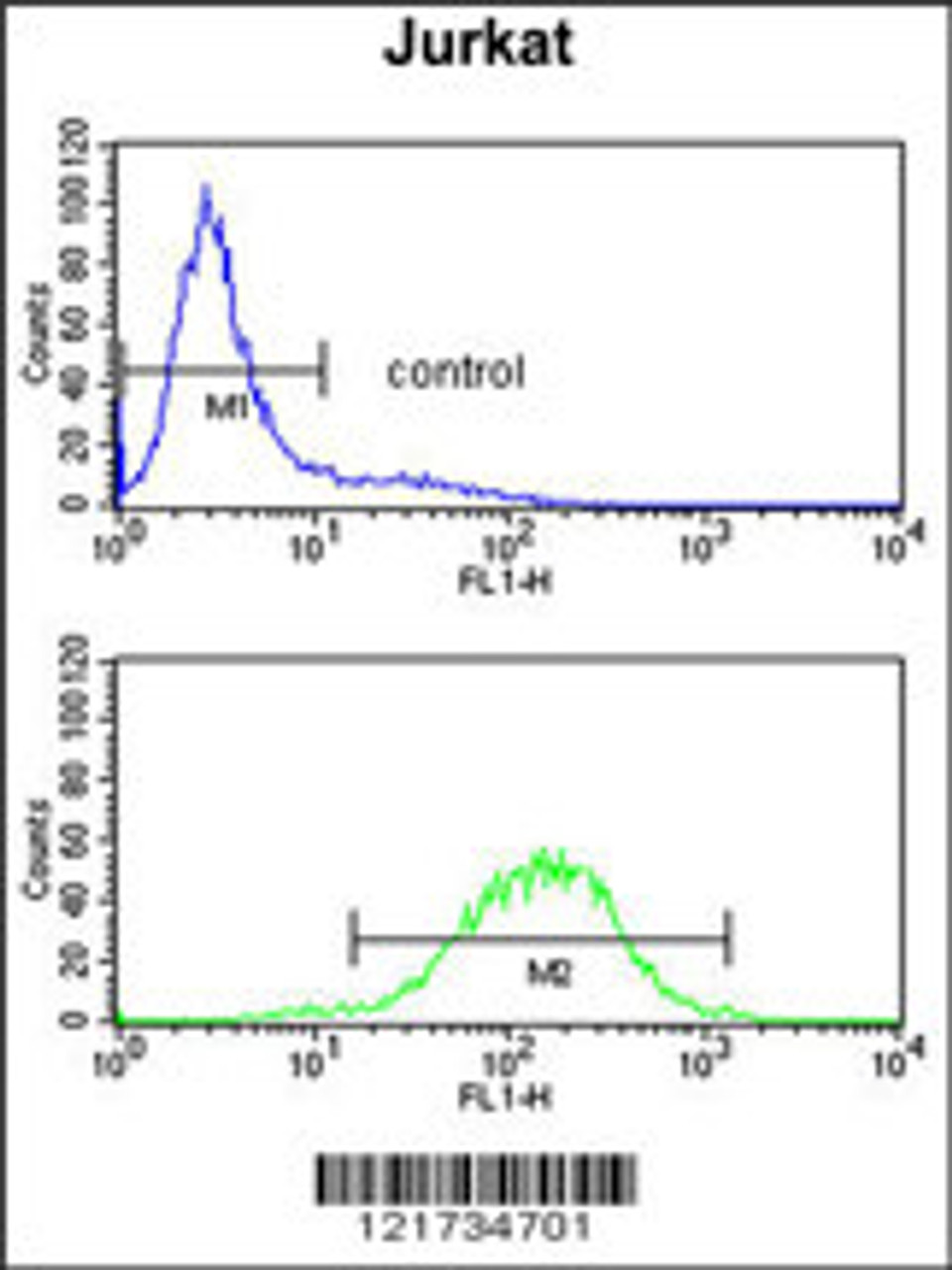 Flow cytometry analysis of Jurkat cells (bottom histogram) compared to a negative control cell (top histogram) .FITC-conjugated goat-anti-rabbit secondary antibodies were used for the analysis.