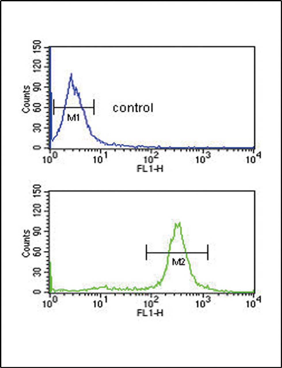 Flow cytometric analysis of MDA-MB435 cells (bottom histogram) compared to a negative control cell (top histogram) .FITC-conjugated goat-anti-rabbit secondary antibodies were used for the analysis.