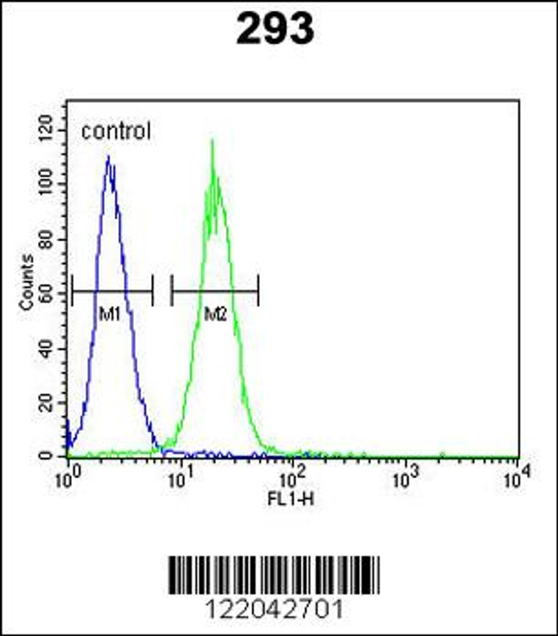 Flow cytometric analysis of 293 cells (right histogram) compared to a negative control cell (left histogram) .FITC-conjugated goat-anti-rabbit secondary antibodies were used for the analysis.