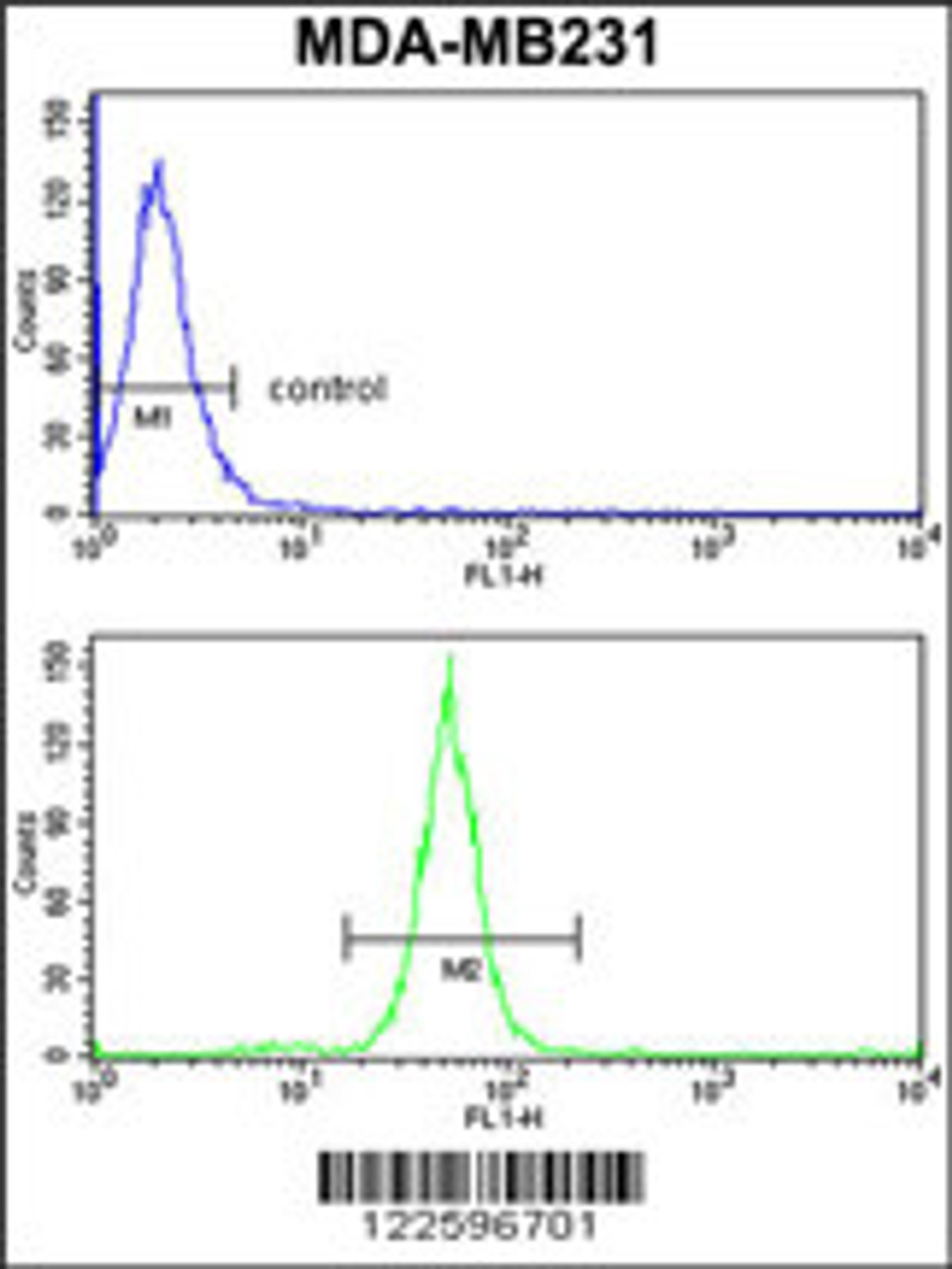 Flow cytometry analysis of MDA-MB231 cells (bottom histogram) compared to a negative control cell (top histogram) . FITC-conjugated goat-anti-rabbit secondary antibodies were used for the analysis.