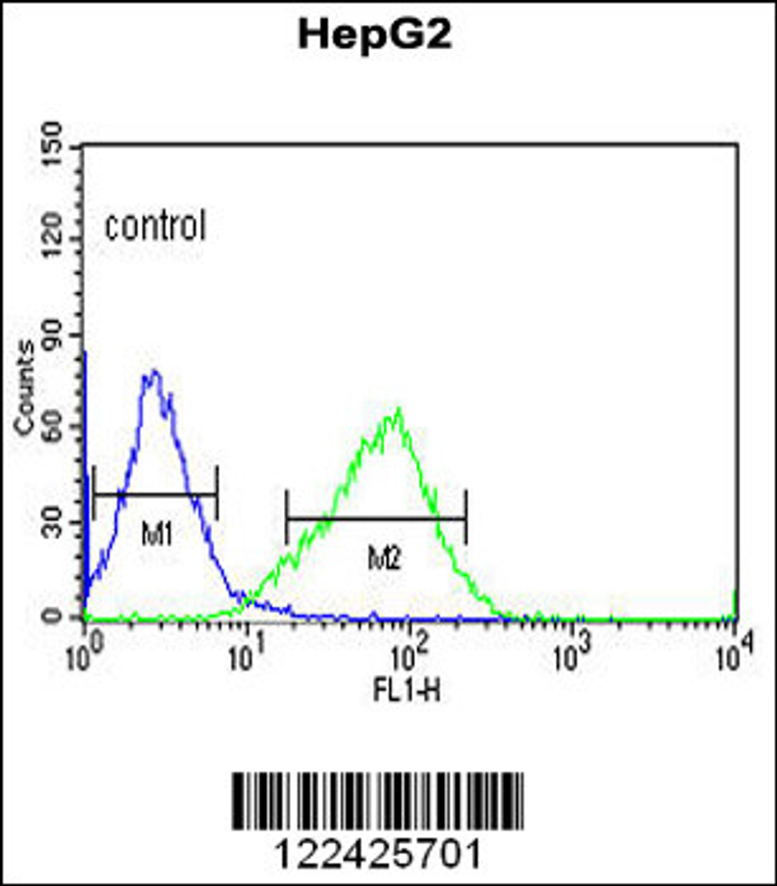 Flow cytometric analysis of HepG2 cells (right histogram) compared to a negative control cell (left histogram) .FITC-conjugated goat-anti-rabbit secondary antibodies were used for the analysis.