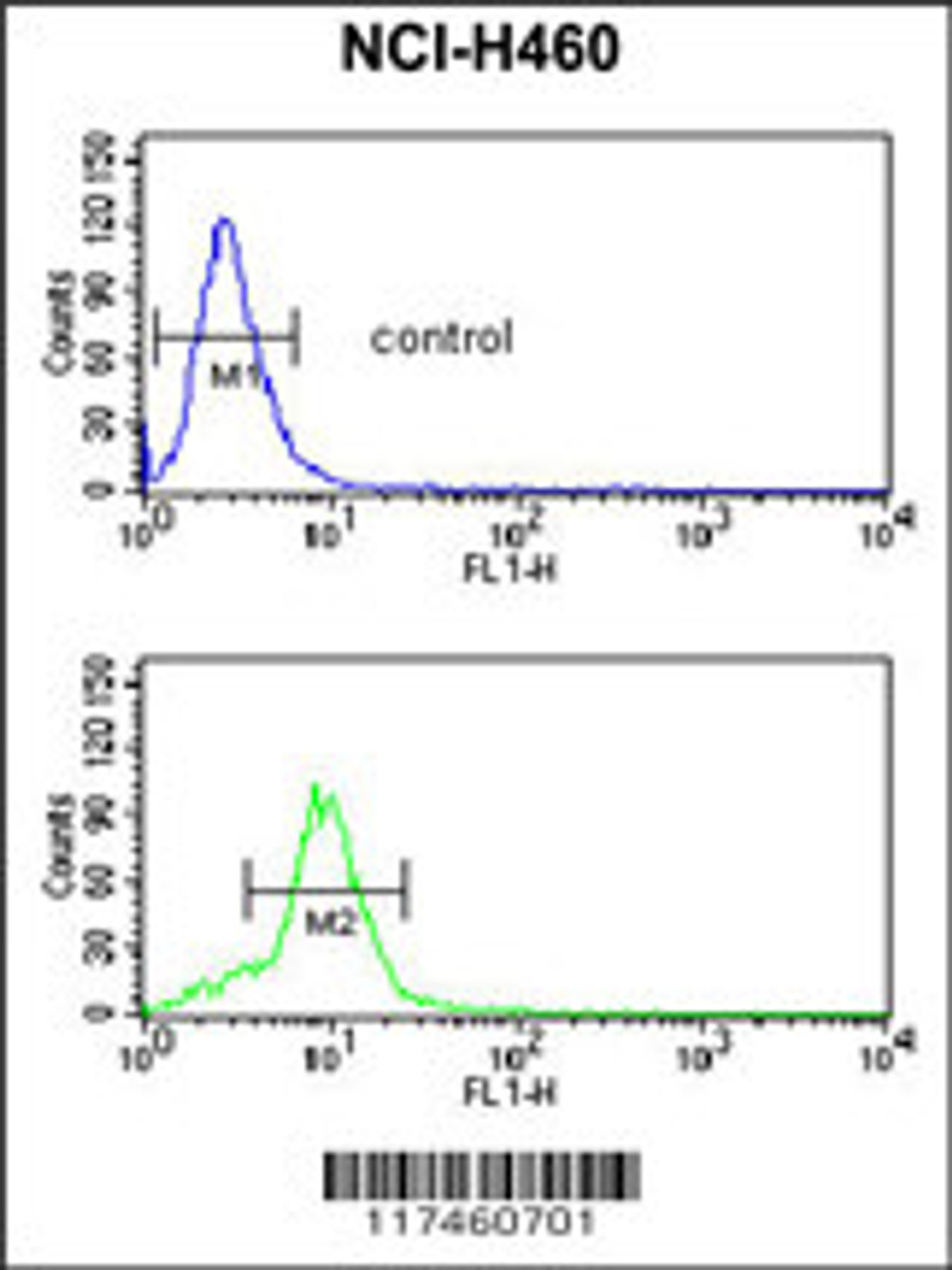 Flow cytometric analysis of NCI-H460 cells (bottom histogram) compared to a negative control cell (top histogram) .FITC-conjugated goat-anti-rabbit secondary antibodies were used for the analysis.