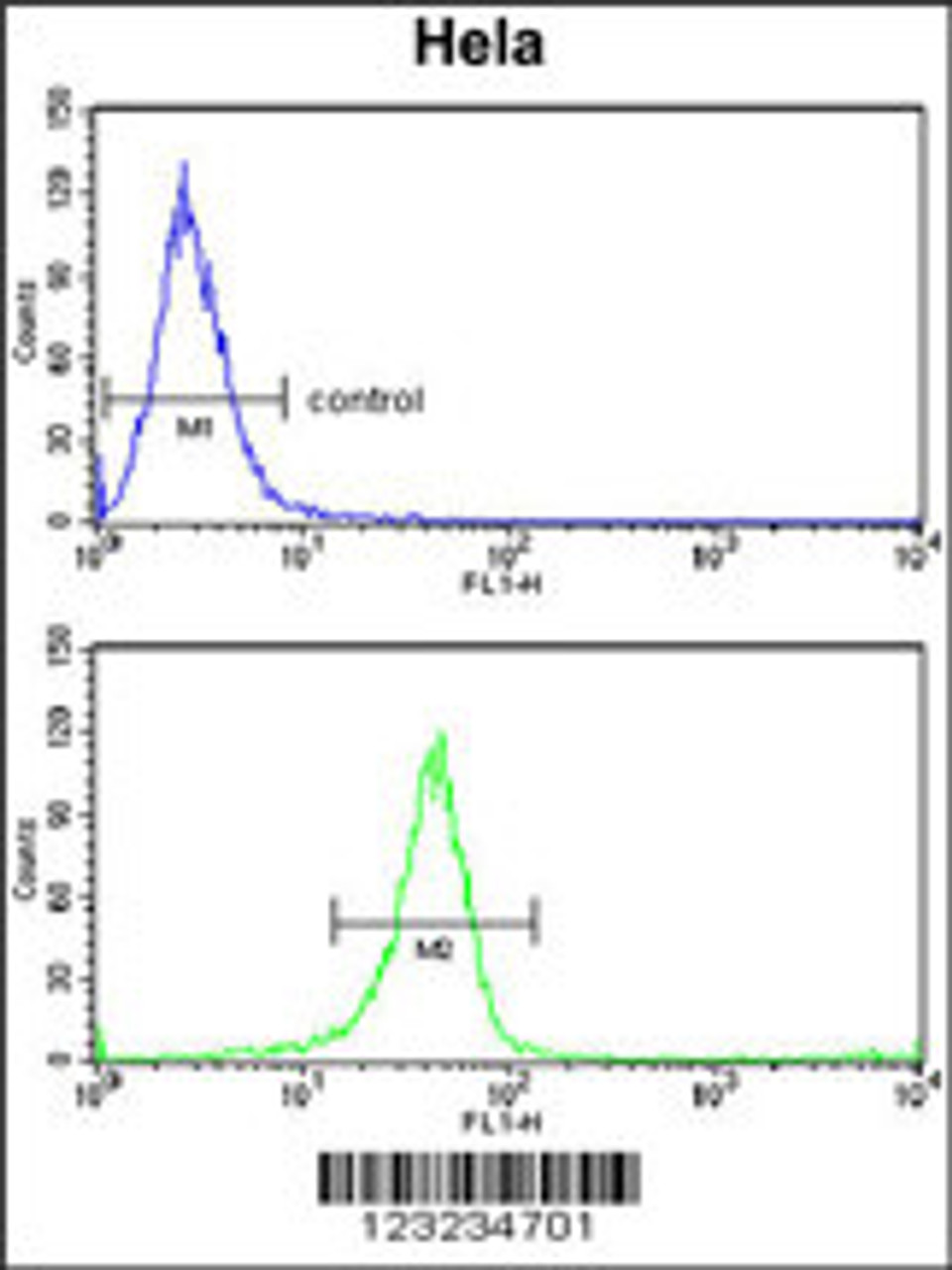 Flow cytometry analysis of Hela cells (bottom histogram) compared to a negative control cell (top histogram) .FITC-conjugated goat-anti-rabbit secondary antibodies were used for the analysis.