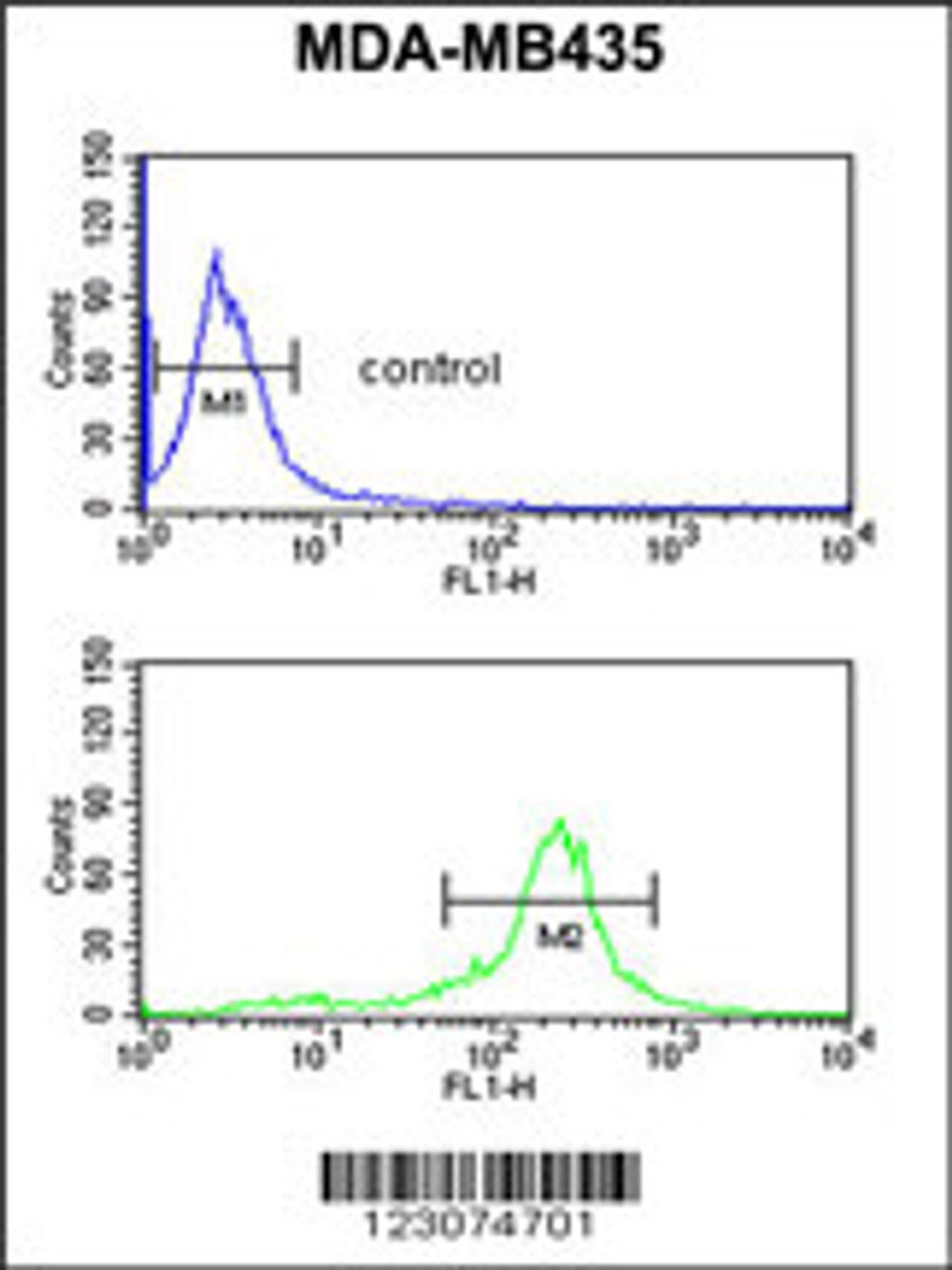 Flow cytometric analysis of MDA-MB435 cells (bottom histogram) compared to a negative control cell (top histogram) .FITC-conjugated goat-anti-rabbit secondary antibodies were used for the analysis.