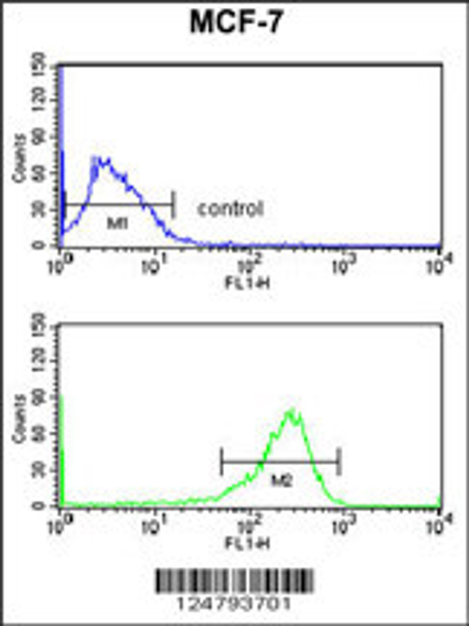 Flow cytometry analysis of MCF-7 cells (bottom histogram) compared to a negative control cell (top histogram) .FITC-conjugated goat-anti-rabbit secondary antibodies were used for the analysis.