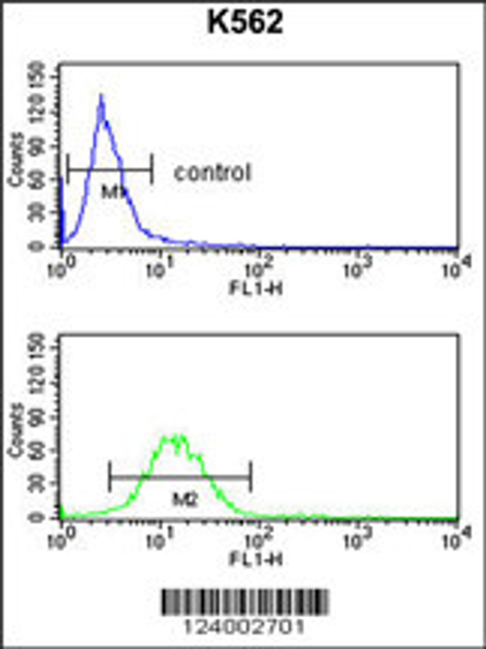 Flow cytometry analysis of K562 cells (bottom histogram) compared to a negative control cell (top histogram) .FITC-conjugated goat-anti-rabbit secondary antibodies were used for the analysis.