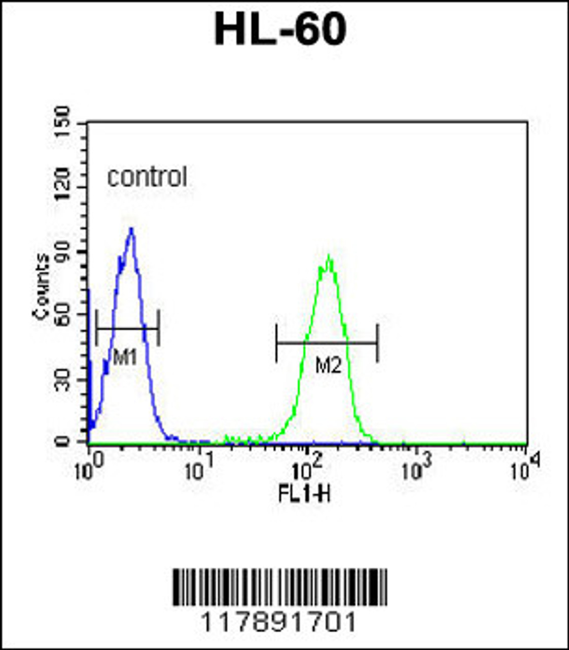 Flow cytometric analysis of HL-60 cells (right histogram) compared to a negative control cell (left histogram) .FITC-conjugated goat-anti-rabbit secondary antibodies were used for the analysis.