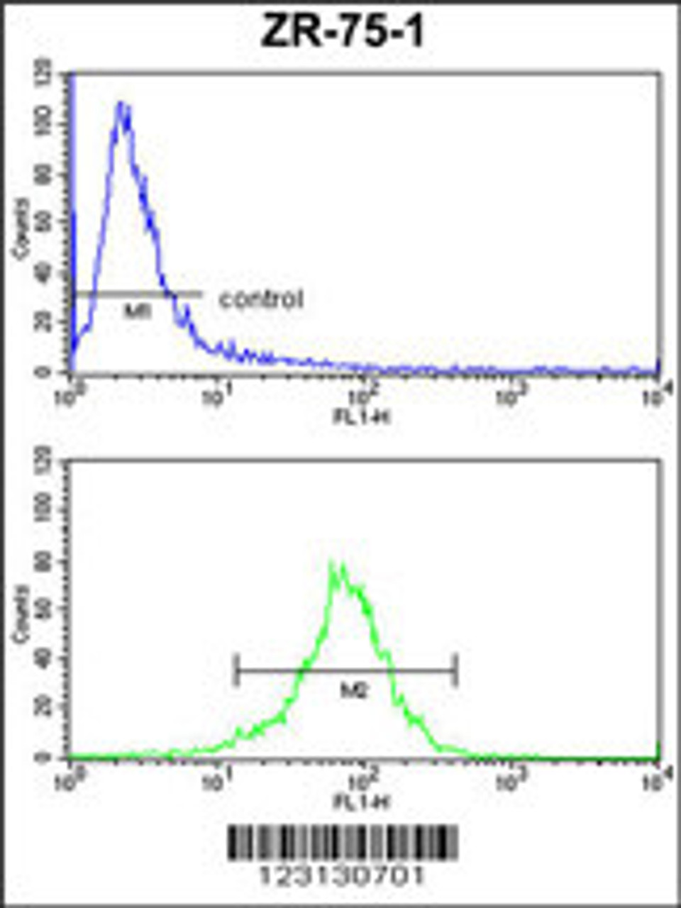 Flow cytometric analysis of ZR-75-1 cells (bottom histogram) compared to a negative control cell (top histogram) . FITC-conjugated goat-anti-rabbit secondary antibodies were used for the analysis.