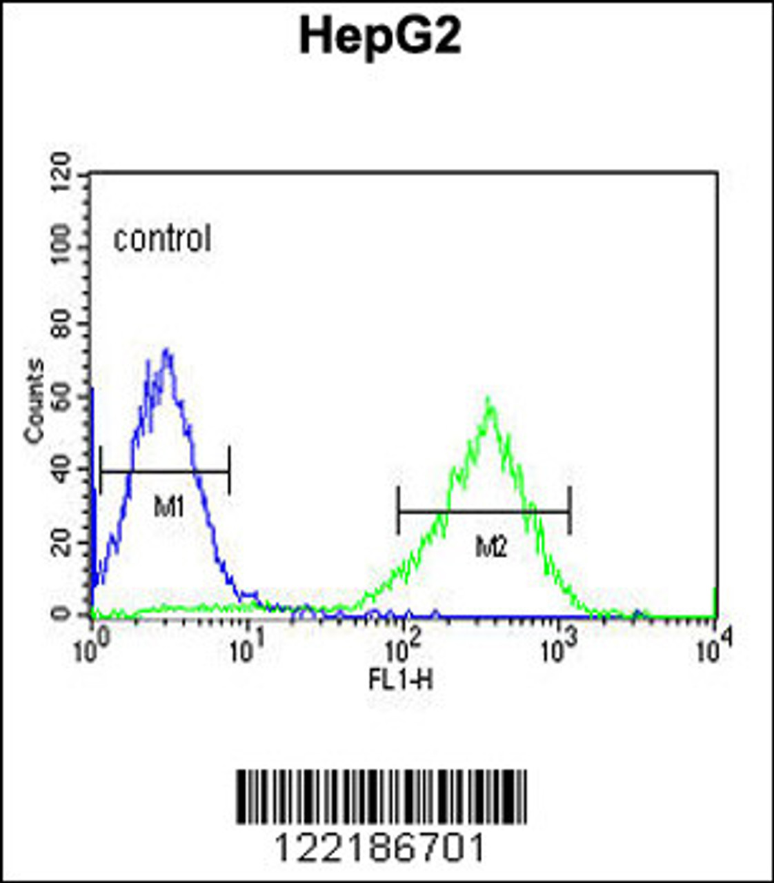 Flow cytometric analysis of HepG2 cells (right histogram) compared to a negative control cell (left histogram) .FITC-conjugated goat-anti-rabbit secondary antibodies were used for the analysis.