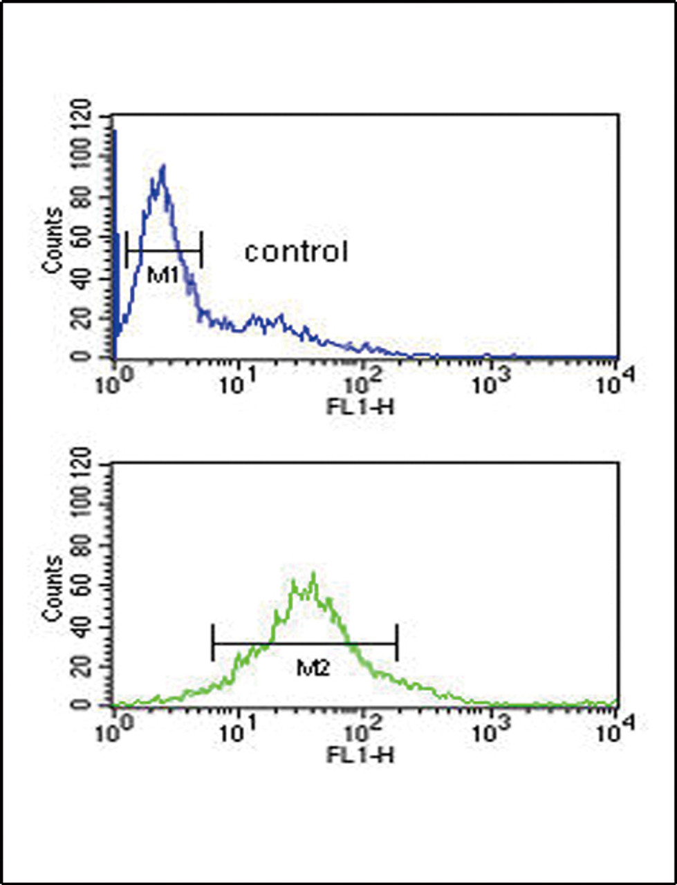 Flow cytometric analysis of Jurkat cells (bottom histogram) compared to a negative control cell (top histogram) .FITC-conjugated goat-anti-rabbit secondary antibodies were used for the analysis.