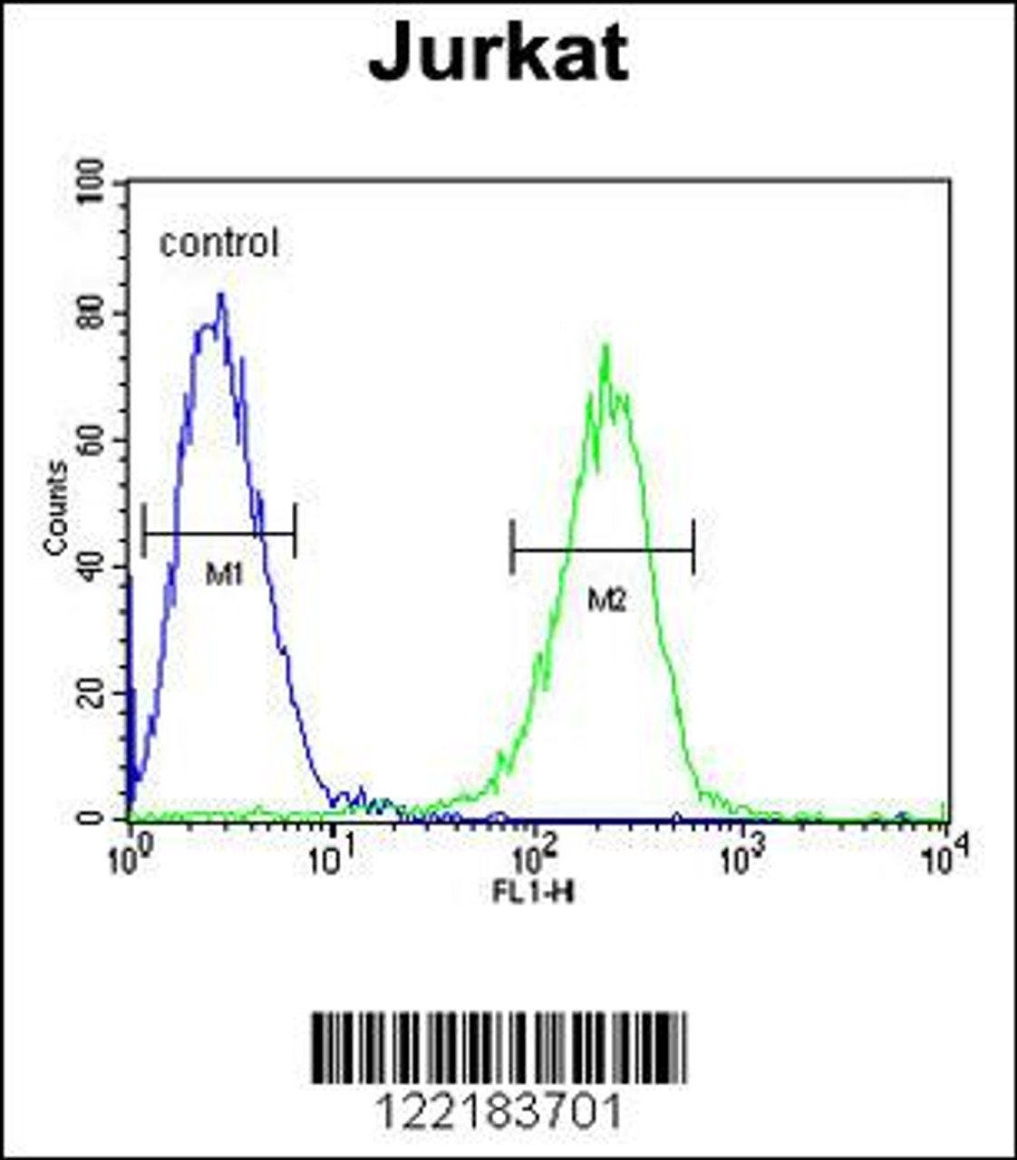 Flow cytometric analysis of Jurkat cells (right histogram) compared to a negative control cell (left histogram) .FITC-conjugated goat-anti-rabbit secondary antibodies were used for the analysis.