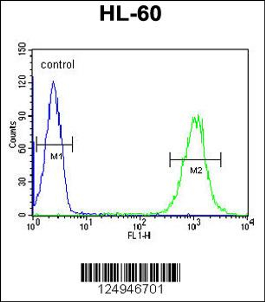 Flow cytometric analysis of HL-60 cells (right histogram) compared to a negative control cell (left histogram) .FITC-conjugated goat-anti-rabbit secondary antibodies were used for the analysis.