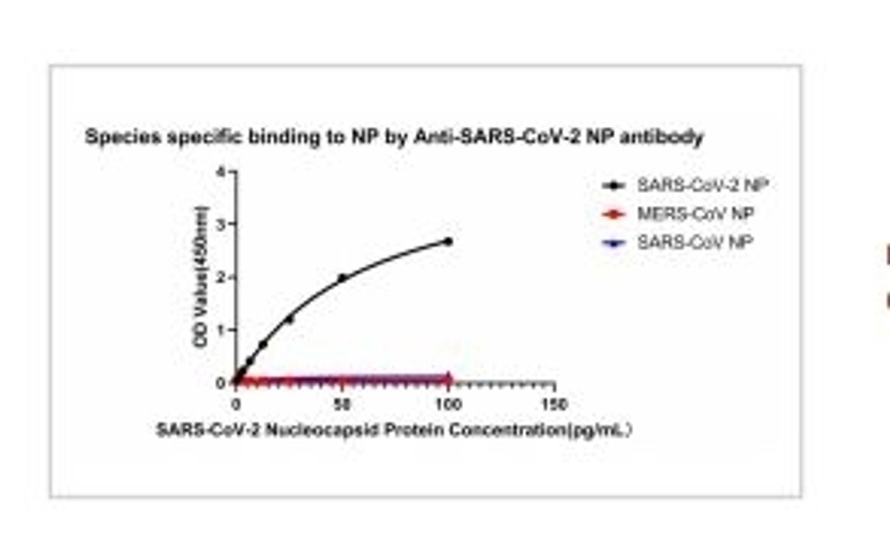 No cross-reactivity in ELISA with MERS-CoV Nucleoprotein protein and SARS Coronavirus Nucleocapsid.