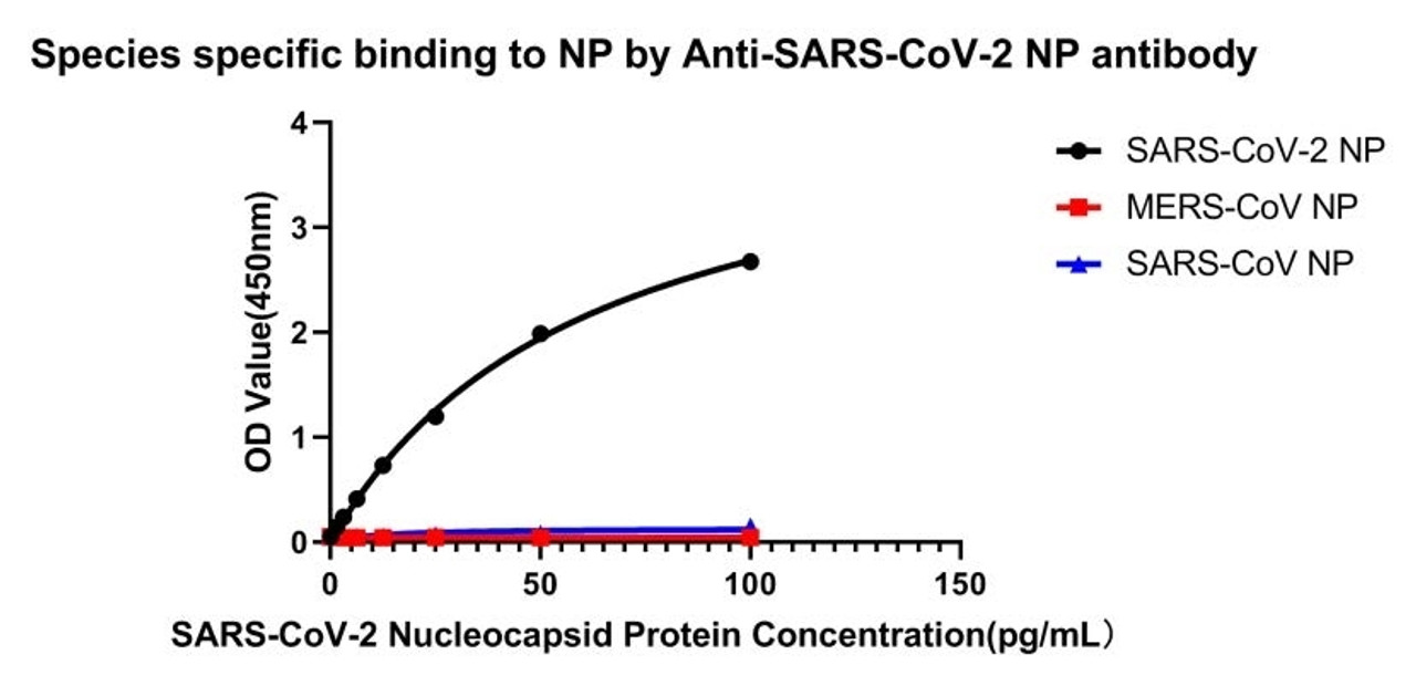 No cross-reactivity in ELISA with MERS-CoV Nucleoprotein protein and SARS Coronavirus Nucleocapsid.