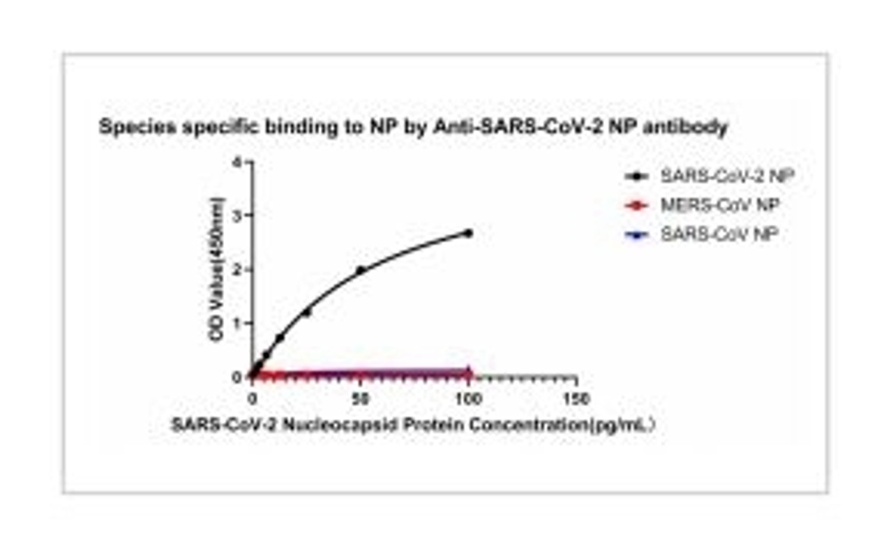 No cross-reactivity in ELISA with MERS-CoV Nucleoprotein protein and SARS Coronavirus Nucleocapsid.