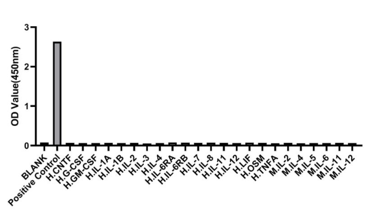 This standard curve is only for demonstration purposes. A standard curve should be generated for each assay.