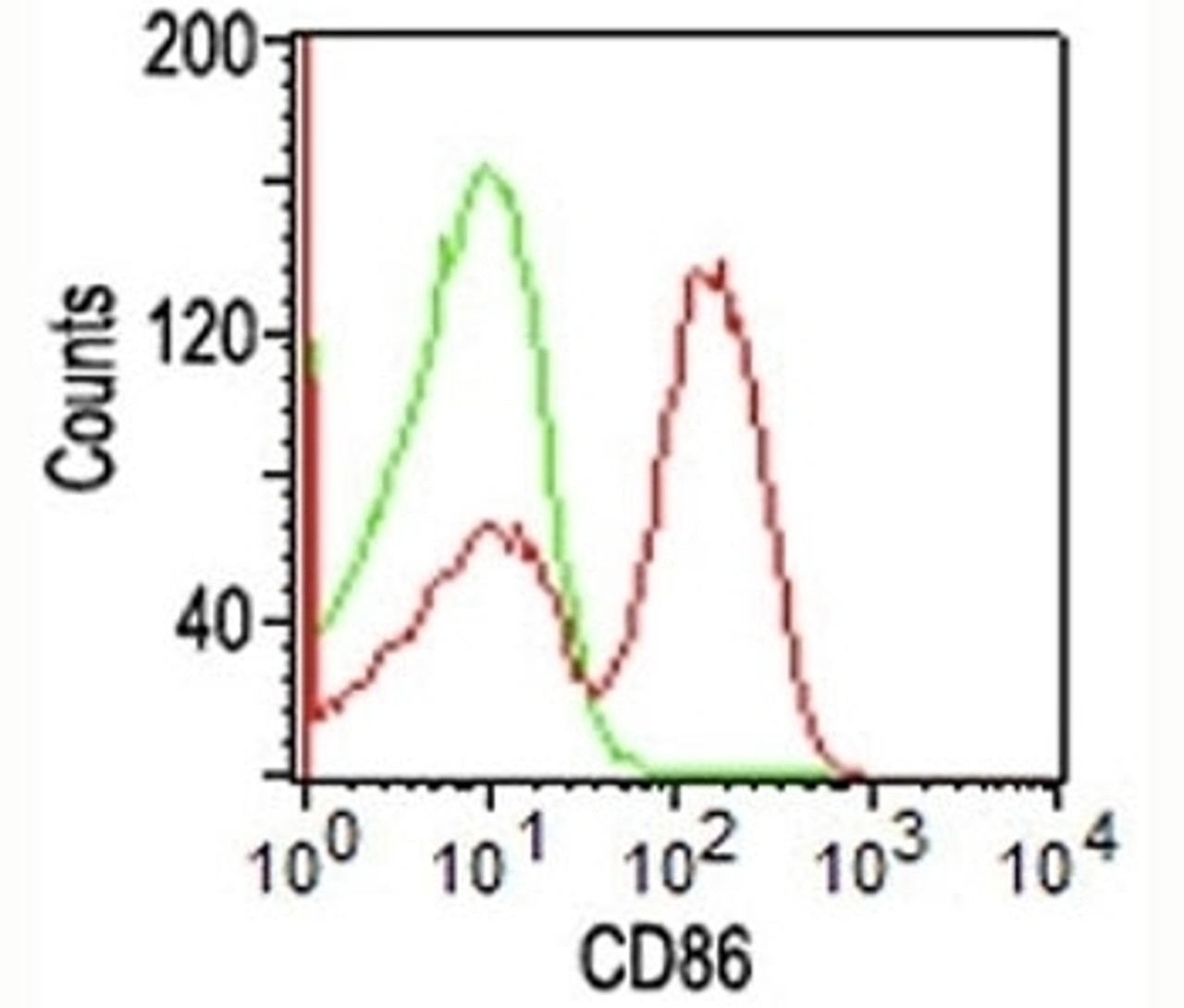 FACS staining of human PBMCs using CD86 antibody (BU63) .