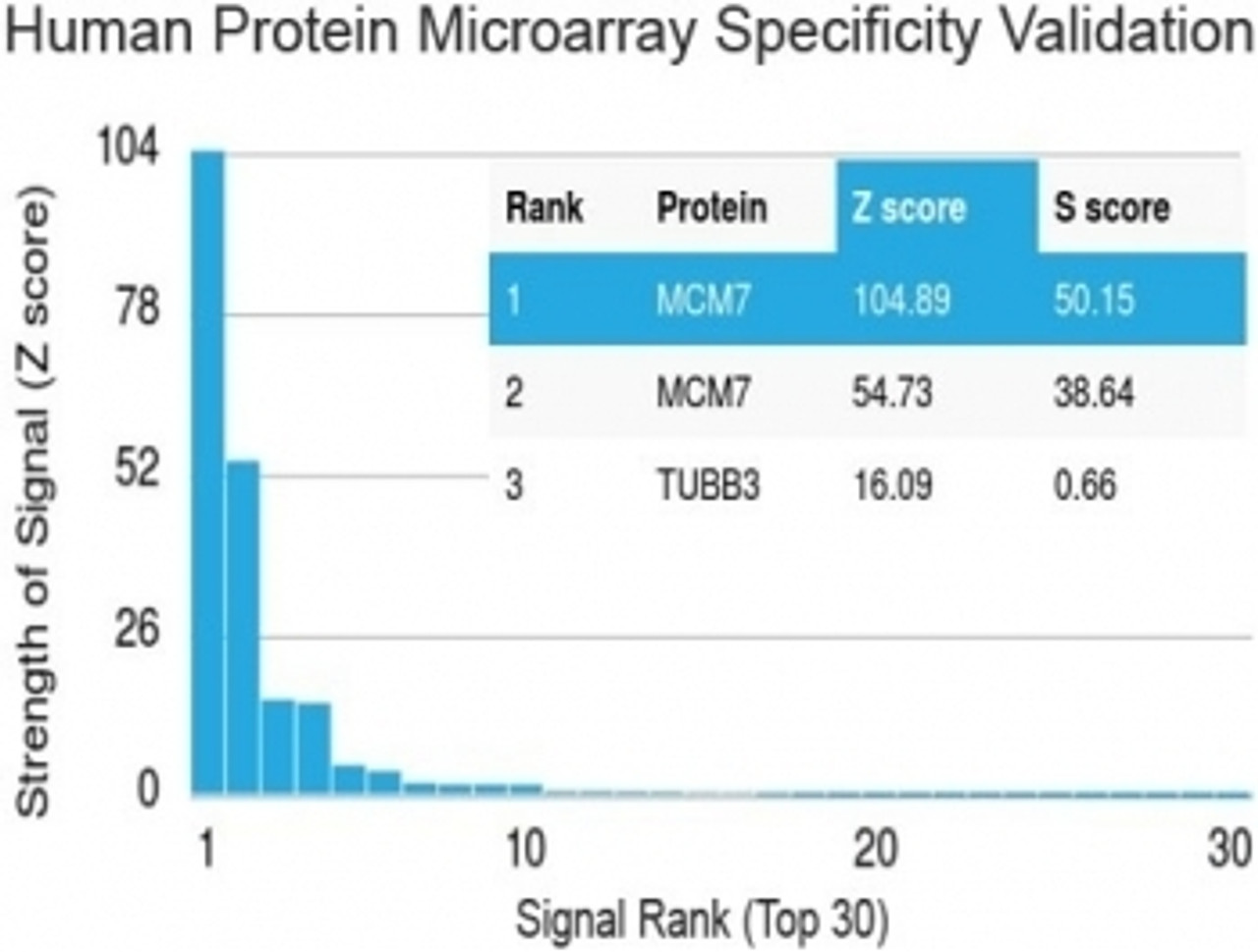 Analysis of HuProt (TM) microarray containing more than 19, 000 full-length human proteins using MCM7 antibody (clone MCM7/1468) . Z- and S- score: The Z-score represents the strength of a signal that an antibody (in combination with a fluorescently-tagged anti-IgG secondary Ab) produces when binding to a particular protein on the HuProt (TM) array. Z-scores are described in units of standard deviations (SD's) above the mean value of all signals generated on that array. If the targets on the HuProt (TM) are arranged in descending order of the Z-score, the S-score is the difference (also in units of SD's) between the Z-scores. The S-score therefore represents the relative target specificity of an Ab to its intended target.