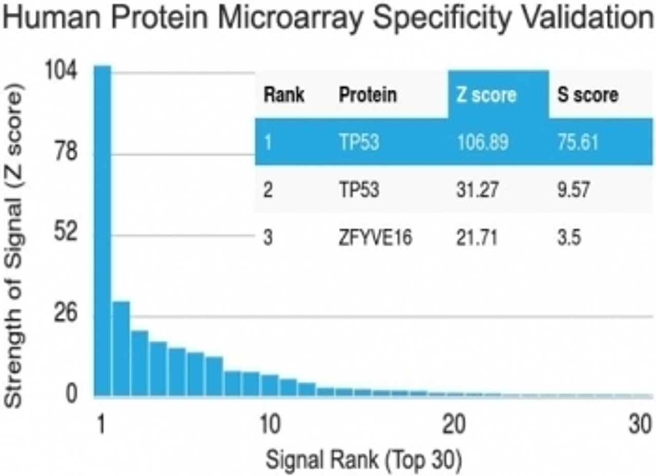 Analysis of HuProt (TM) microarray containing more than 19, 000 full-length human proteins using recombinant p53 antibody (clone TP53/1799R) . Z- and S- score: The Z-score represents the strength of a signal that an antibody (in combination with a fluorescently-tagged anti-IgG secondary Ab) produces when binding to a particular protein on the HuProt (TM) array. Z-scores are described in units of standard deviations (SD's) above the mean value of all signals generated on that array. If the targets on the HuProt (TM) are arranged in descending order of the Z-score, the S-score is the difference (also in units of SD's) between the Z-scores. The S-score therefore represents the relative target specificity of an Ab to its intended target.