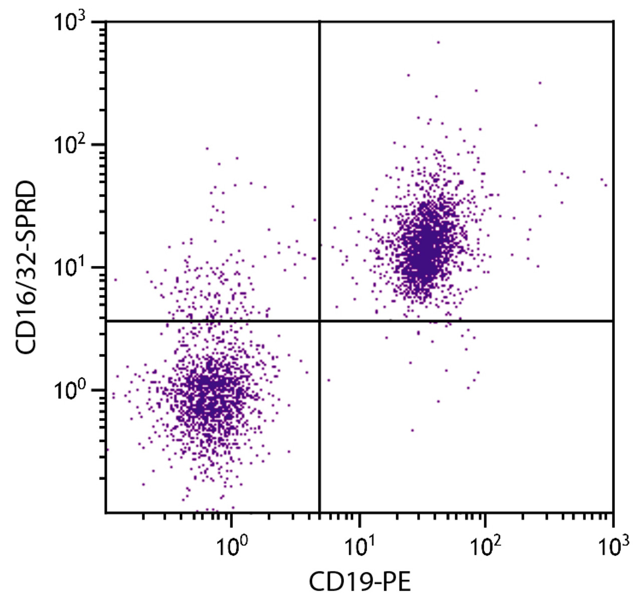 BALB/c mouse splenocytes were stained with Rat Anti-Mouse CD16/32-SPRD (Cat. No. 98-744) and Rat Anti-Mouse CD19-PE .