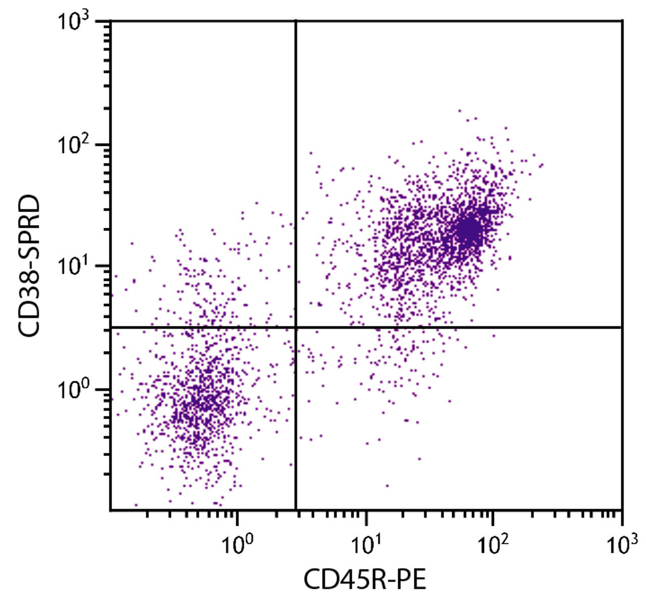 BALB/c mouse splenocytes were stained with Rat Anti-Mouse CD38-SPRD (Cat. No. 98-753) and Rat Anti-Mouse CD45R-PE .