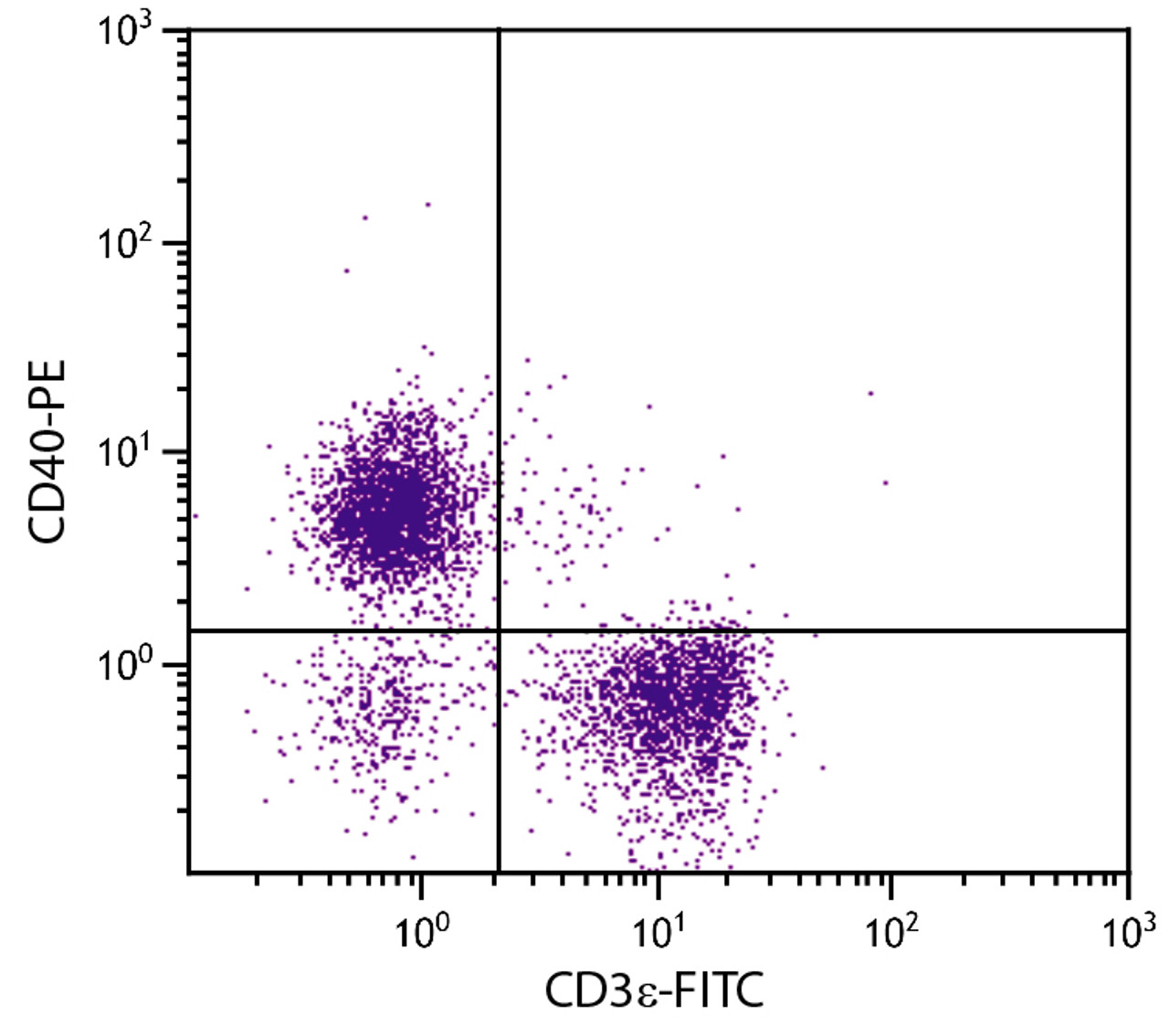 BALB/c mouse splenocytes were stained with Rat Anti-Mouse CD40-PE (Cat. No. 98-765) and Rat Anti-Mouse CD3?-FITC .