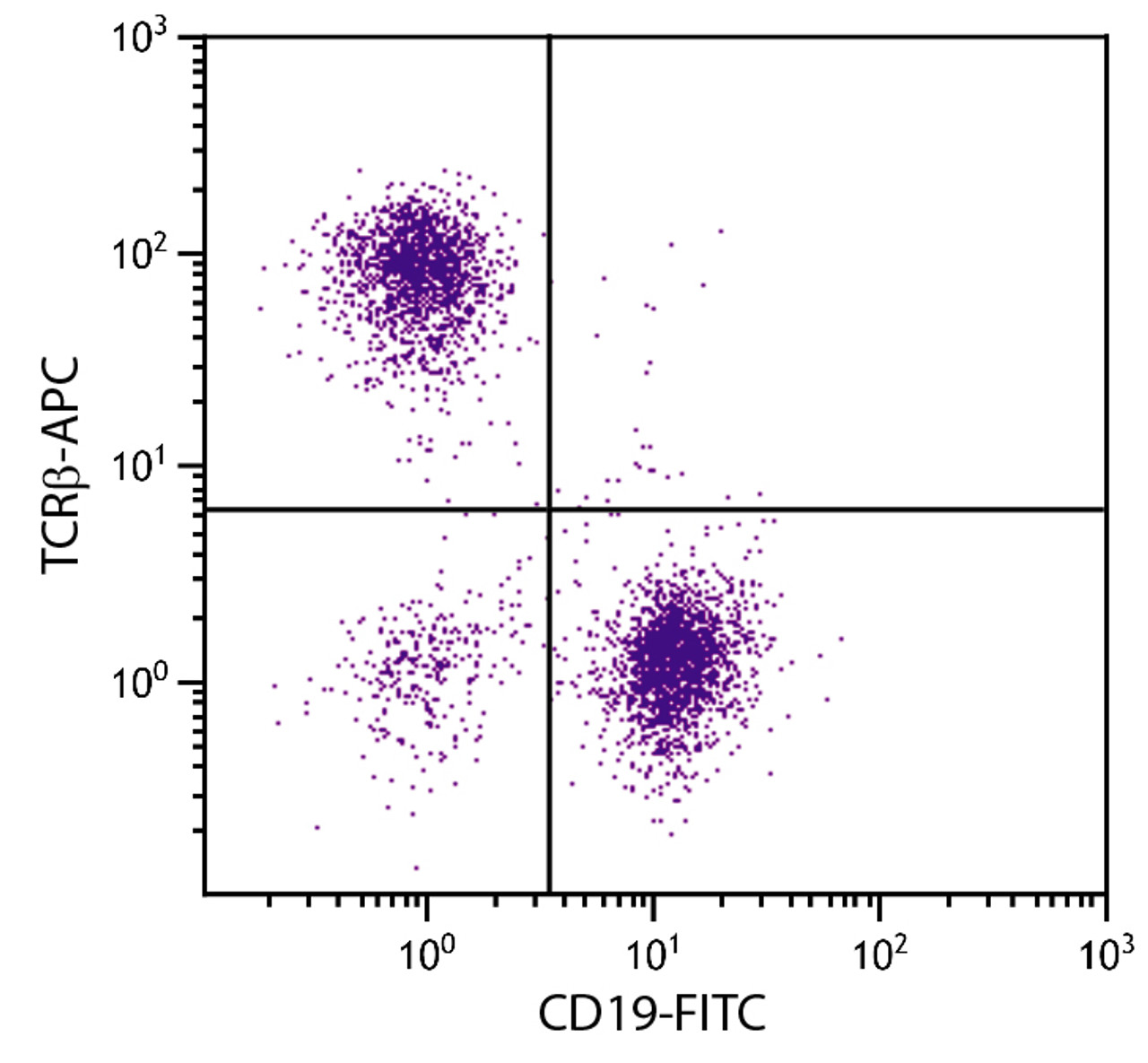 BALB/c mouse splenocytes were stained with Hamster Anti-Mouse TCR?-APC (Cat. No. 98-902) and Rat Anti-Mouse CD19-FITC .