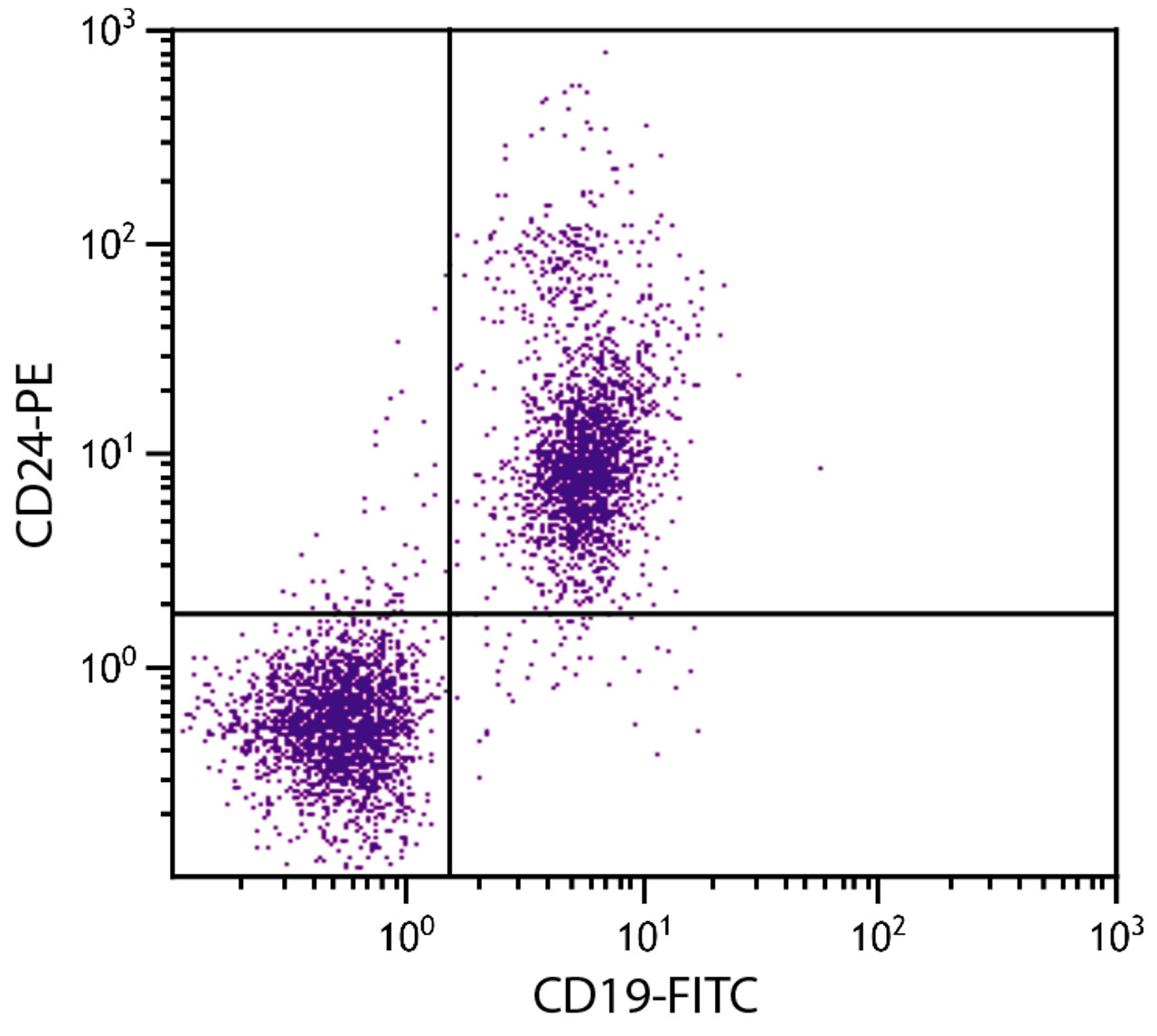 BALB/c mouse splenocytes were stained with Rat Anti-Mouse CD24-PE (Cat. No. 98-982) and Rat Anti-Mouse CD19-FITC .