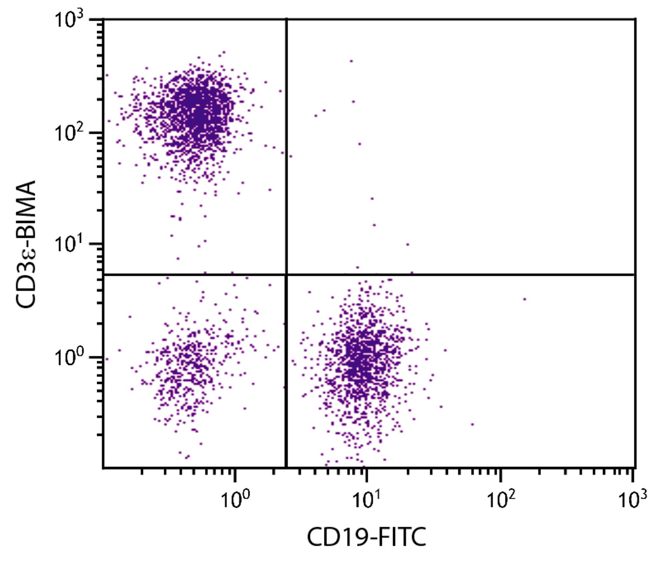 BALB/c mouse splenocytes were stained with Hamster Anti-Mouse CD3?-BIMA (Cat. No. 98-565) and Rat Anti-Mouse CD19-FITC followed by Streptavidin-PE .