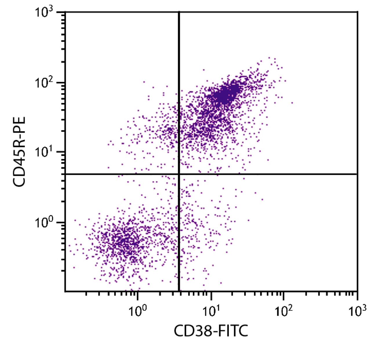 BALB/c mouse splenocytes were stained with Rat Anti-Mouse CD38-FITC (Cat. No. 98-749) and Rat Anti-Mouse CD45R-PE .