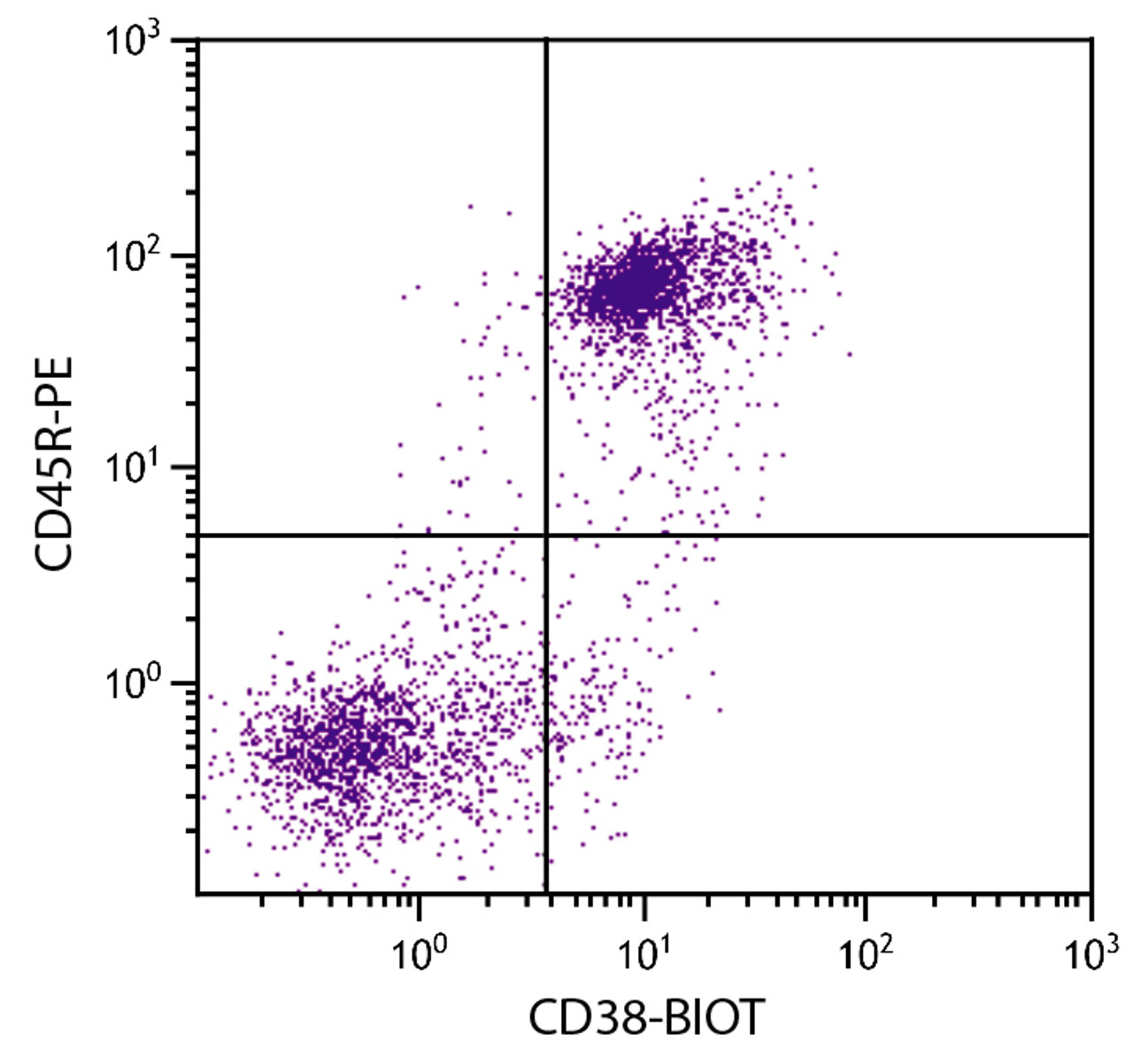 BALB/c mouse splenocytes were stained with Rat Anti-Mouse CD38-BIOT (Cat. No. 98-750) and Rat Anti-Mouse CD45R-PE followed by Streptavidin-FITC .