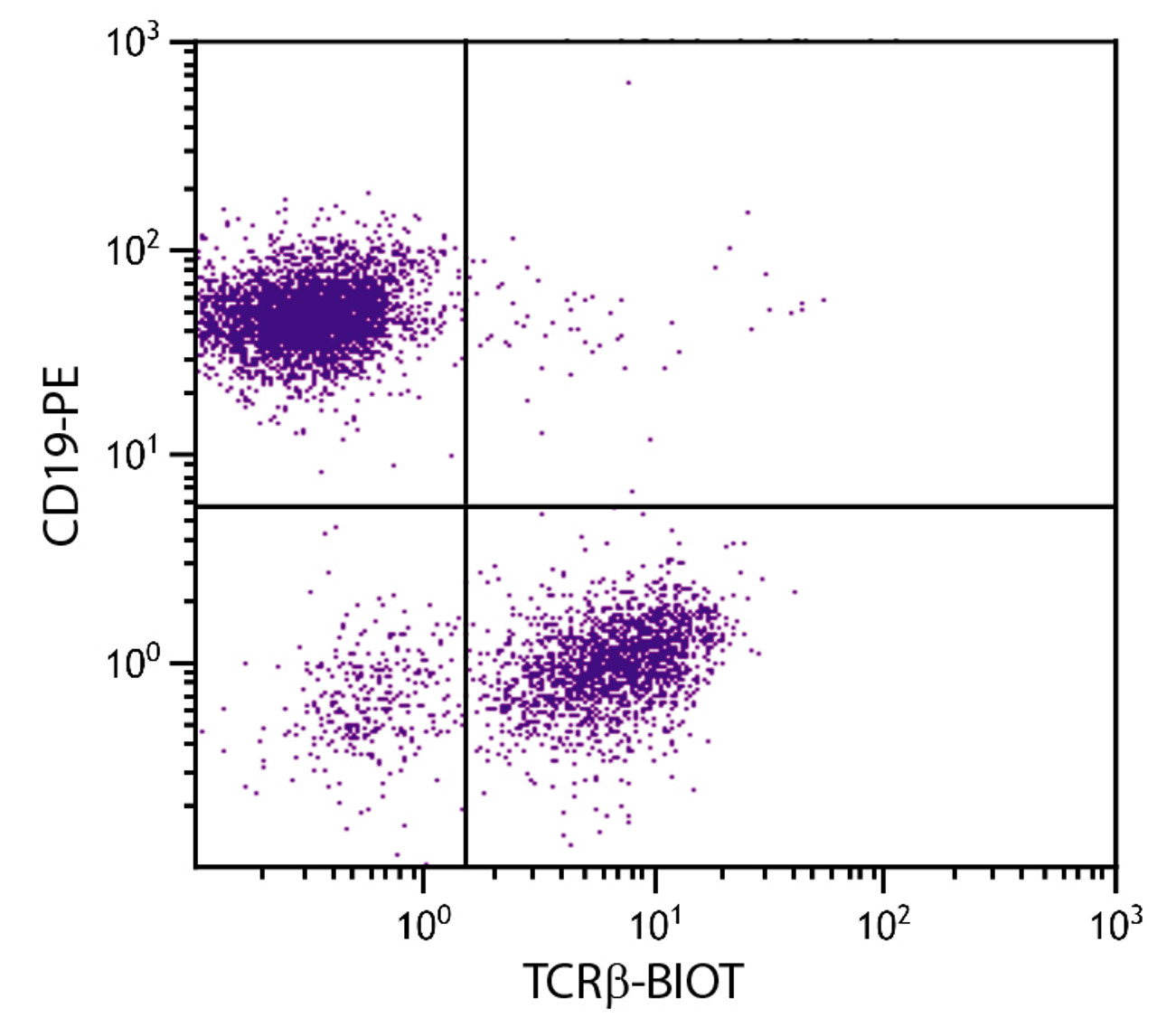 BALB/c mouse splenocytes were stained with Hamster Anti-Mouse TCR?-BIOT (Cat. No. 98-900) and Rat Anti-Mouse CD19-PE followed by Streptavidin-FITC .