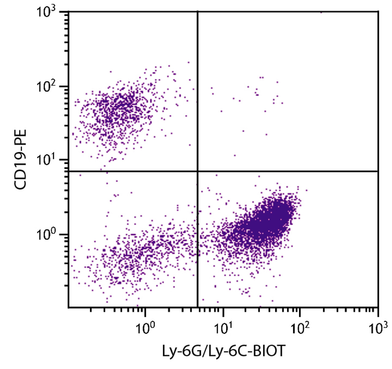 BALB/c mouse bone marrow cells were stained with Rat Anti-Mouse Ly-6G/Ly-6C-BIOT (Cat. No. 99-050) and Rat Anti-Mouse CD19-PE followed by Streptavidin-FITC .