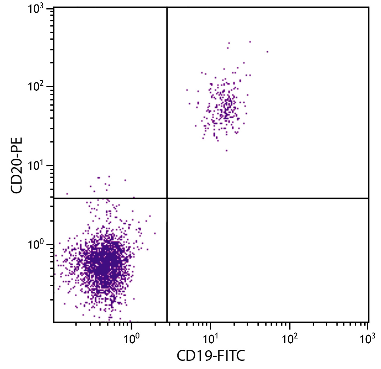 Human peripheral blood lymphocytes were stained with Mouse Anti-Human CD20-PE (Cat. No. 99-366) and Mouse Anti-Human CD19-FITC .